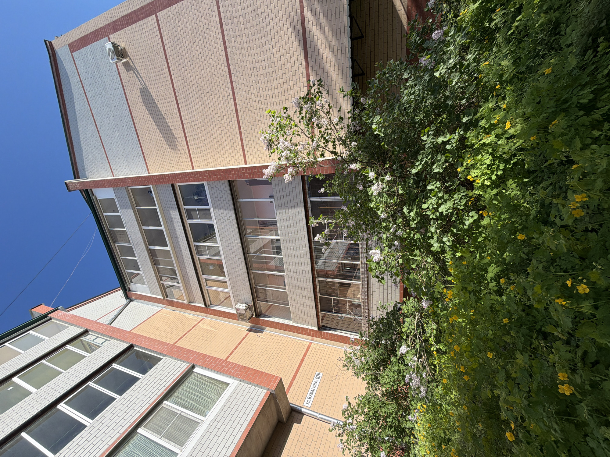 A ground-level, upward-angled shot captures the side of a multi-story brick building in Birobidzhan, Russia. The building is primarily constructed from light brown bricks, with sections of light gray bricks on the upper stories. Red brick trim is present along horizontal lines. Rows of windows with white frames are visible across multiple floors. An air conditioning unit is mounted on the wall near the top. A street sign reading "ул. Бумагина 10б" is present near the base of the building. Dense foliage, containing green leaves, white flowers, and small yellow flowers, partially obscures the building's lower section. The sky is visible in the upper left corner of the frame.