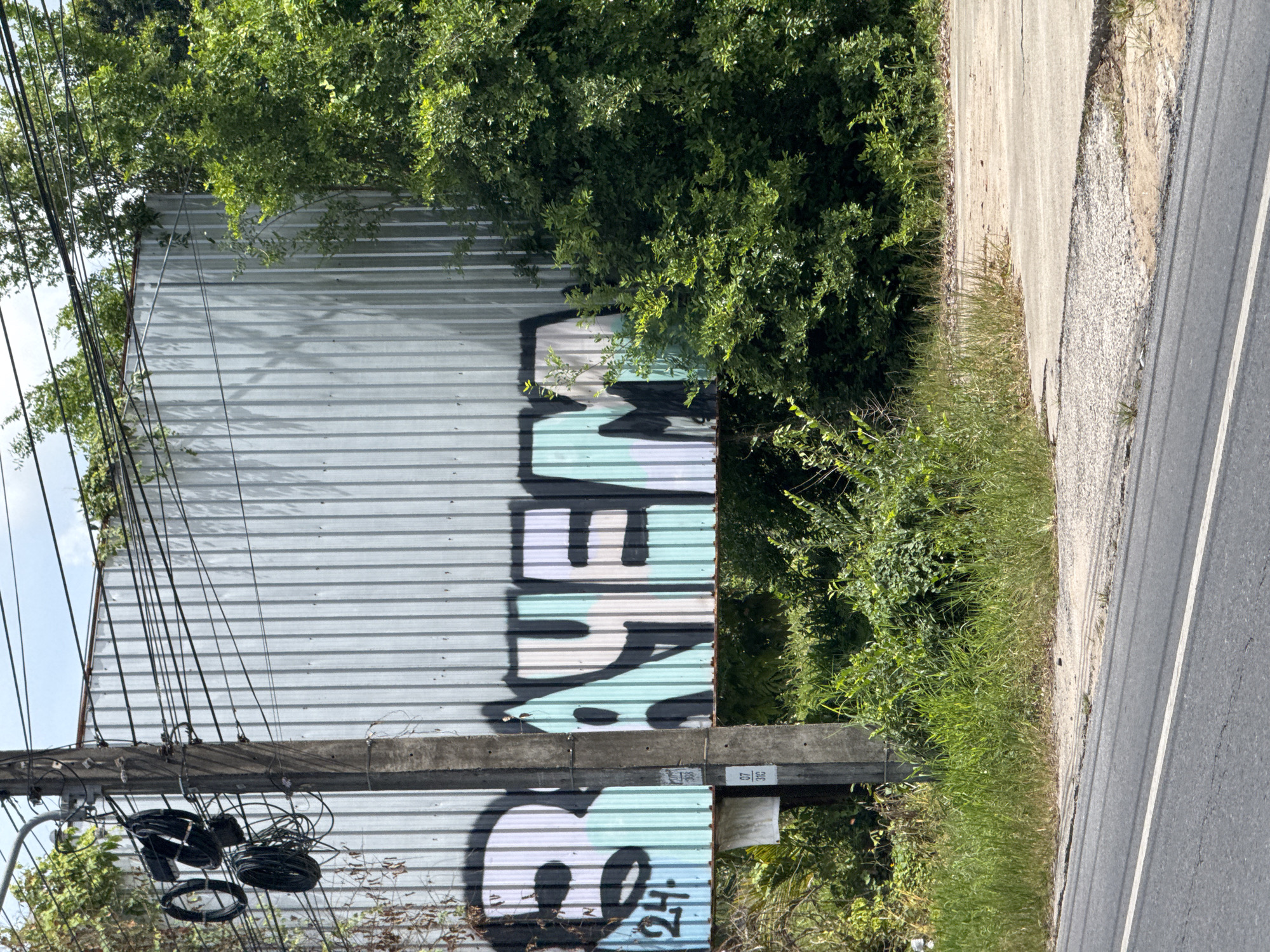 The image shows a corrugated metal wall with graffiti on it. The graffiti appears to spell out "BAYEM" in large, bold letters with a black outline. The letters are filled with light blue and light green colors. There is also some smaller text that says "24" and some other markings. To the left of the wall is a concrete pole with wires and cables attached to it. The pole has some labels on it, including "07" and "316". The wall is surrounded by lush green vegetation, including trees and bushes. In the foreground, there is a road with a white line marking the lane. The sky is visible in the upper part of the image and appears to be overcast. The scene suggests an outdoor location in a somewhat overgrown urban or semi-urban environment.
