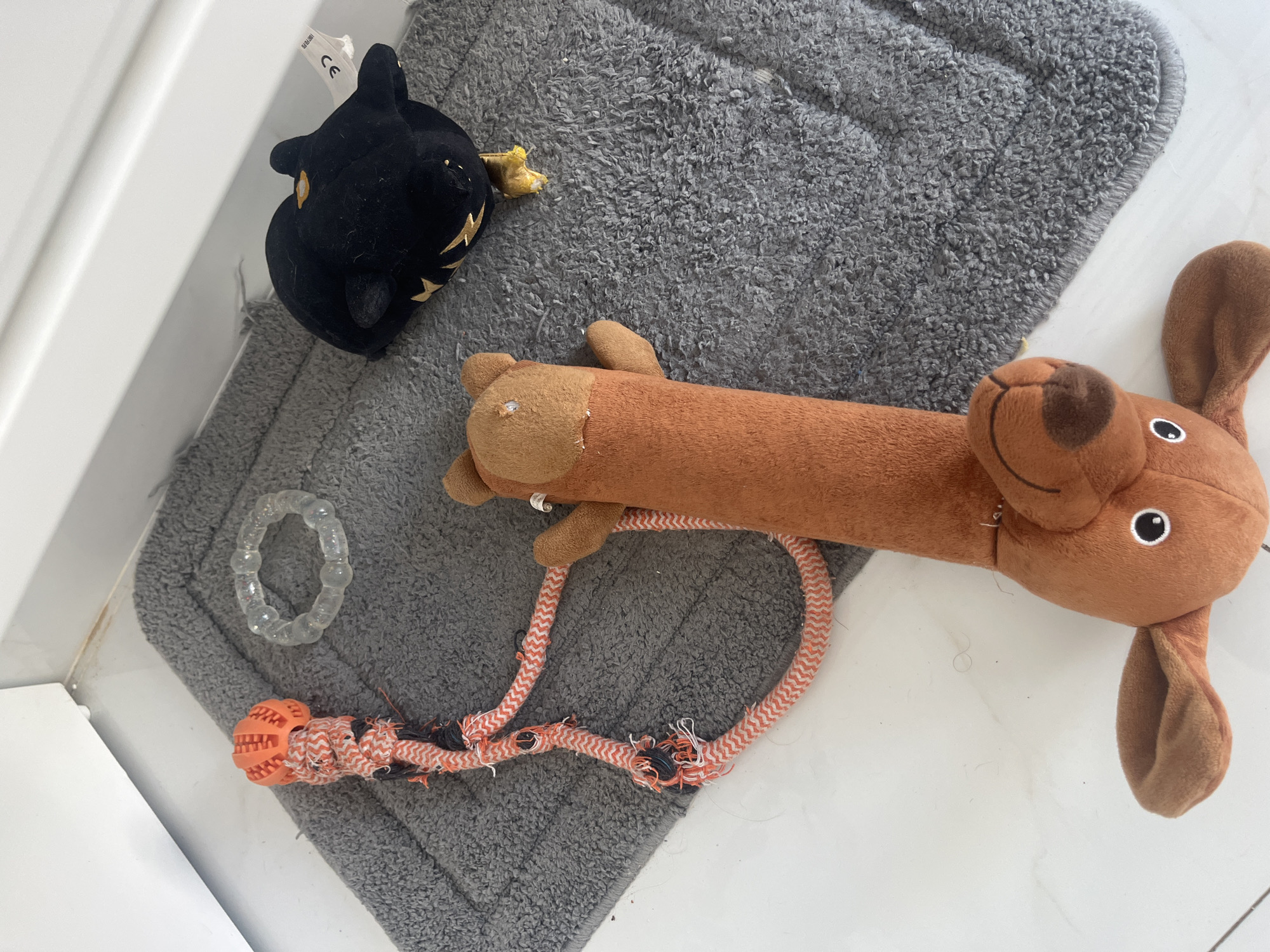 The scene shows a collection of dog toys on a gray mat. The toys include a black plush bat, a brown plush dog with a long body and rope attachment, a clear plastic teething ring, and an orange rubber ball attached to a frayed rope. The mat is located near a white wall. The location is Bac Nha Trang Ward, Vietnam.