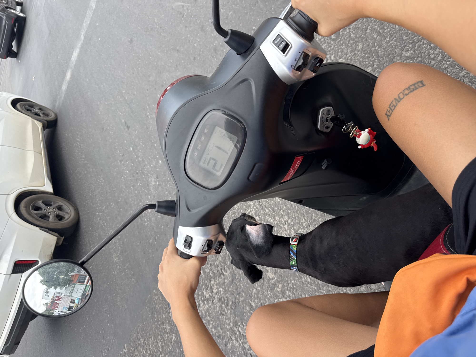 This image captures a close-up view of a person riding a scooter in Nha Trang, Vietnam, with their black dog accompanying them. The rider's hands are on the handlebars, and the dog is positioned in front of them. The scooter's digital dashboard shows a speed of 21 km/h. In the background, a white car is visible, and the reflection in the scooter's mirror shows buildings and a street scene. The overall environment suggests a street in Nha Trang.