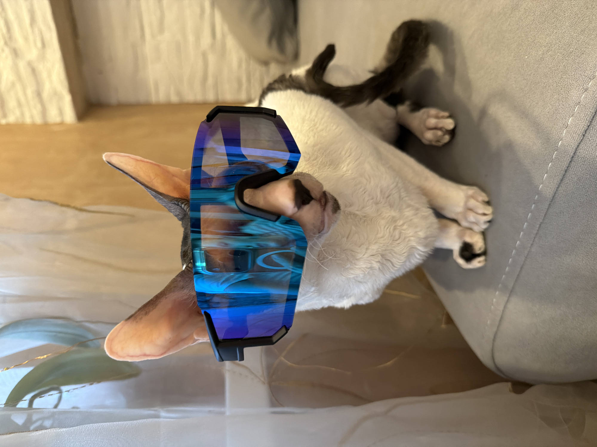 In this image, a cat is lying down on a sofa with ski goggles placed over its eyes. The cat is white with black markings on its ears and tail. The ski goggles have a blue, reflective lens. The cat is positioned on its side, with its head slightly tilted. The background shows a light-colored wall and a sheer curtain. The lighting suggests it is daytime. The overall mood is humorous and playful.