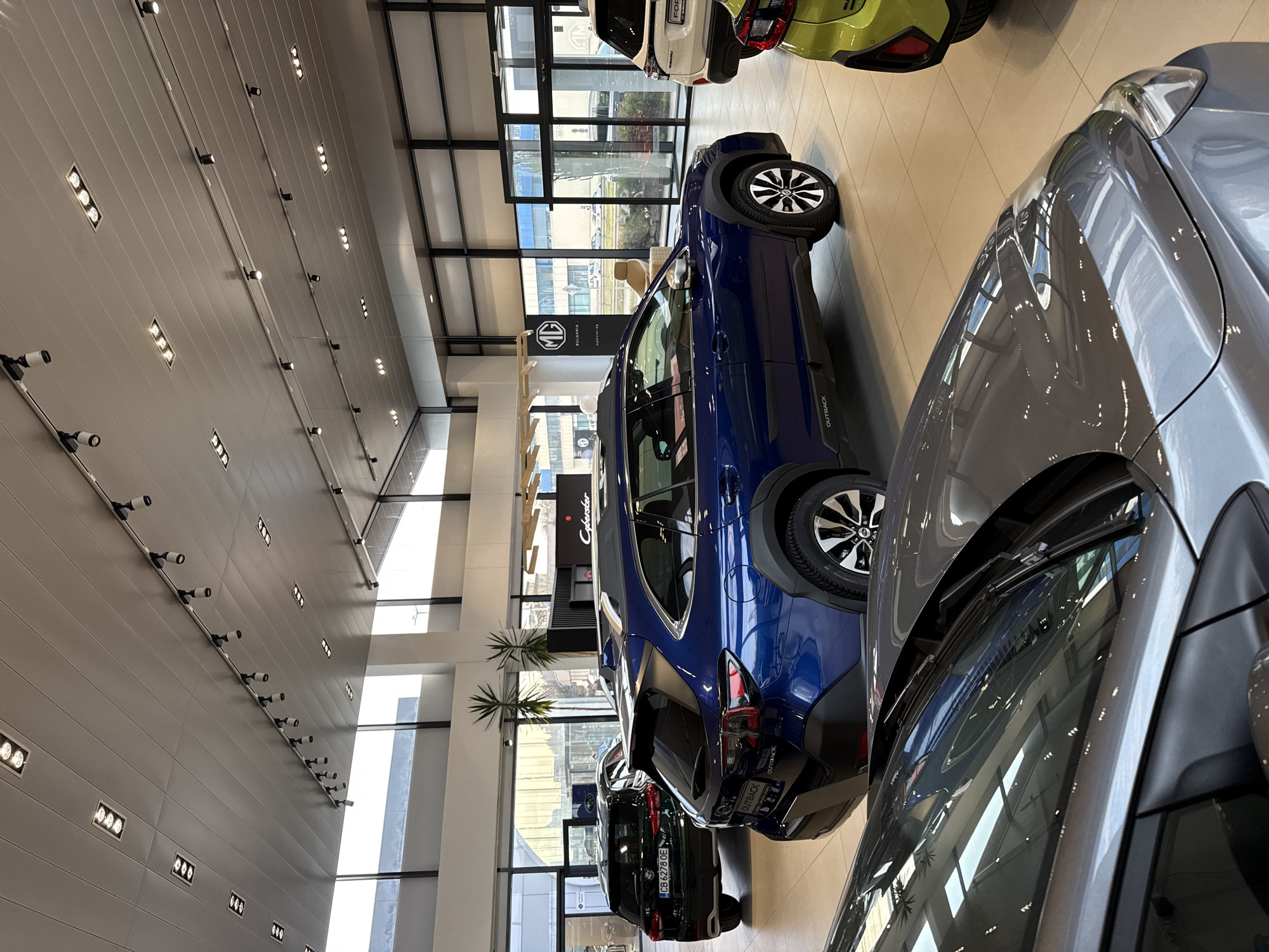 The image depicts the interior of a modern multi-brand car showroom located in Sofia, Bulgaria. The presence of a vehicle with a Bulgarian "CB 6278 OE" license plate (indicating Sofia), along with prominent "MG BULGARIA" branding and "mgmotor.bg" text, confirms the location.
The showroom features a light-colored tiled floor and a white suspended ceiling equipped with numerous recessed rectangular light fixtures and track lighting with multiple spotlights. Large, floor-to-ceiling glass windows form the exterior walls, allowing natural light and providing a view of the outside environment, which includes a street with parked vehicles and distant buildings.
Several new cars are on display. In the mid-ground, a dark blue Subaru Outback station wagon is angled, showing its rear and right side, with "OUTBACK" branding visible on the lower rear. To its left, in the background, a dark green MG SUV is parked, displaying its rear and the "CB 6278 OE" license plate. In the immediate foreground, the hood and windshield of a grey car, likely an SUV, are visible, partially obscuring the view. To the right, a white SUV is partially visible, showing its rear, and a small portion of a lime green/yellow car's rear is seen in the far right foreground.
Interior decor includes large potted palm plants, a light brown armchair, and various branding elements, including a large "MG" logo and a sign reading "Cyberster," an MG model. No individuals or specific human actions are clearly discernible within the frame. The scene is static, showcasing vehicles for sale within a well-lit, contemporary dealership environment.