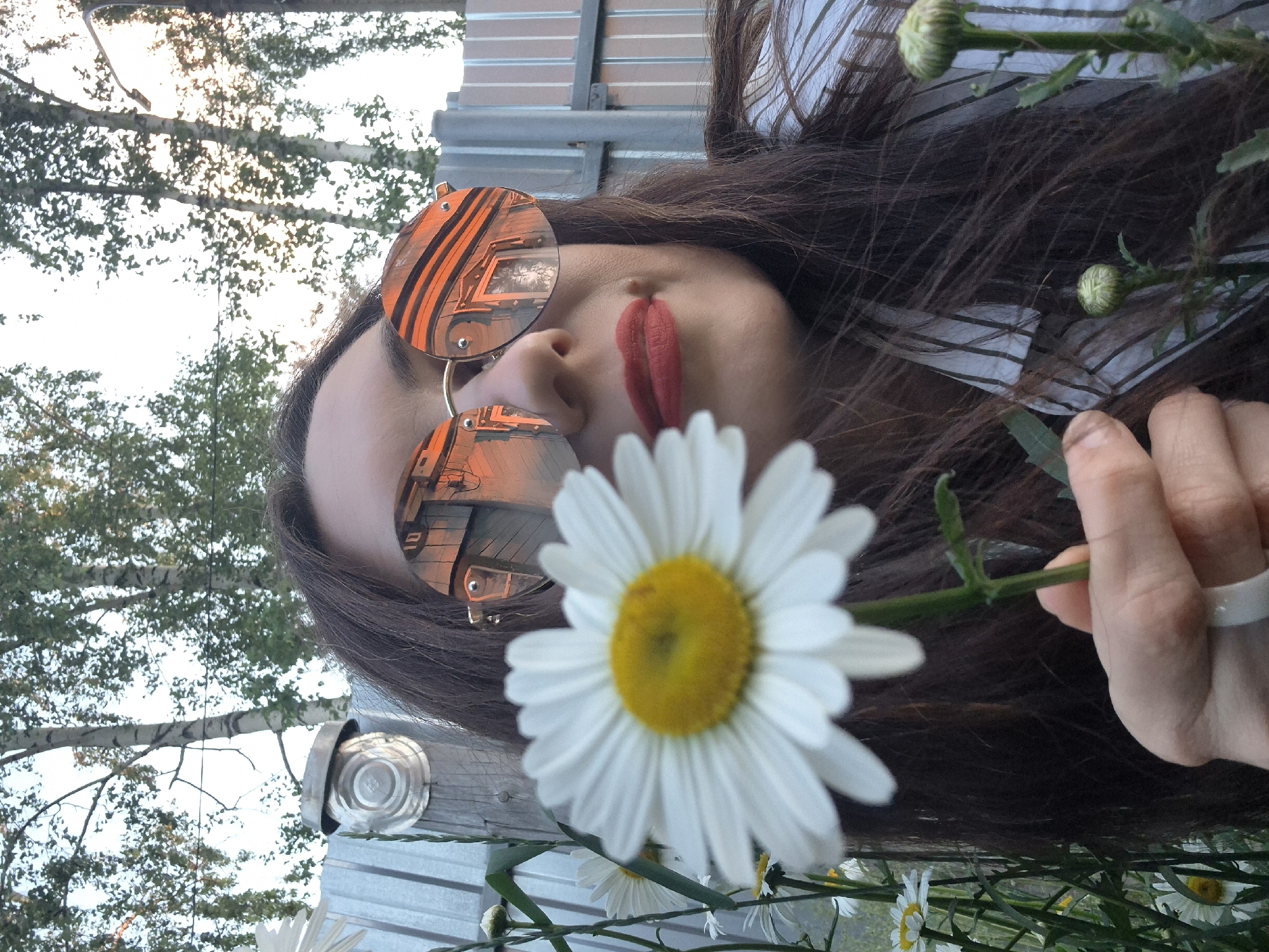 The image shows a close-up, low-angle shot of a woman holding a daisy in front of her face. She is wearing round, reflective sunglasses with orange and black stripes, red lipstick, and a striped shirt. The background includes trees, a metal fence, and a light fixture. The reflection in her sunglasses shows a building with windows. The scene is set outdoors, possibly in a garden or yard, with several daisies and other plants visible. The overall lighting suggests it is either sunrise or sunset. The location is the city of Chaikovsky, Russia.