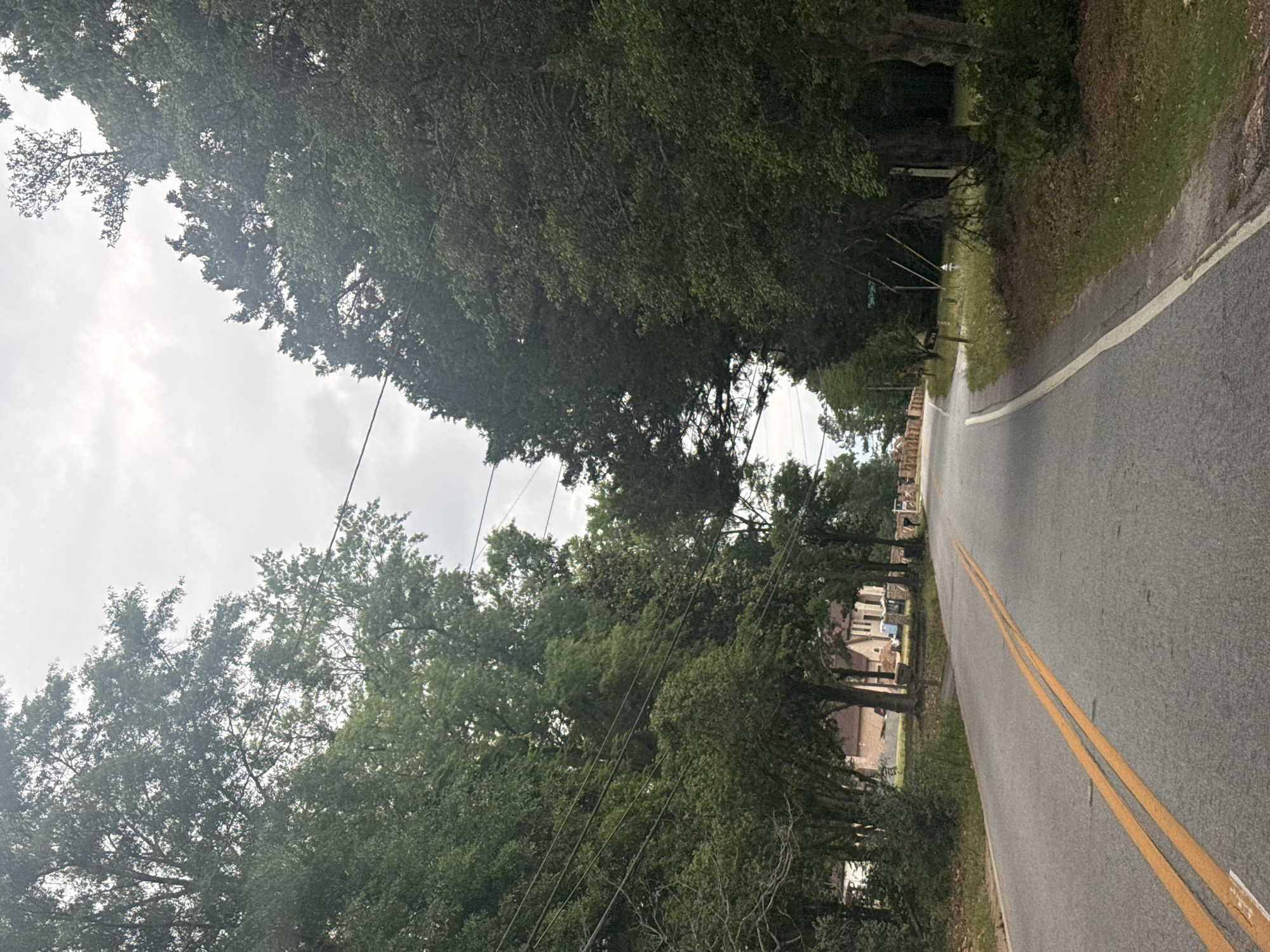 A street in Mountain Park, Georgia, United States of America, is viewed at ground level from one side of the pavement. The asphalt street is gray and has two solid yellow lines dividing it. Lush green trees line both sides of the road, forming a canopy overhead. Buildings are visible behind the trees on the left side of the road. Utility poles and lines are strung along the left side as well. The sky is overcast and gray.