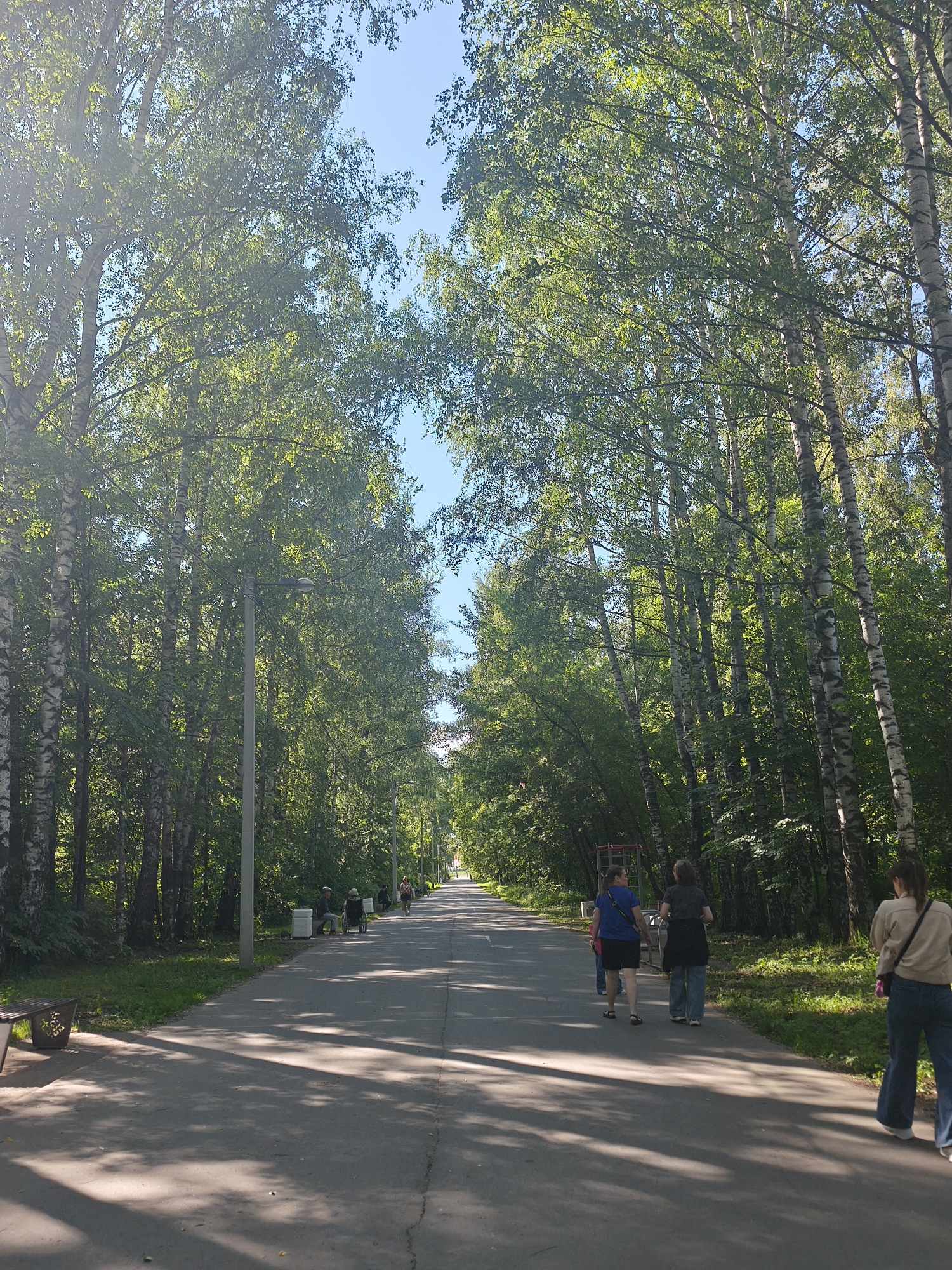 A sunny, tree-lined park pathway in Yoshkar-Ola, Russia, features a paved walkway flanked by a dense forest of birch trees. The pathway stretches into the distance, with dappled sunlight casting shadows on the asphalt. Several people are present: on the left, two individuals are seated on a bench, and further down, a person is walking in a wheelchair. On the right side of the path, three individuals are walking away from the camera, two of them conversing. A streetlamp stands near the left edge of the pathway. The overall scene depicts a serene, recreational outdoor setting.
