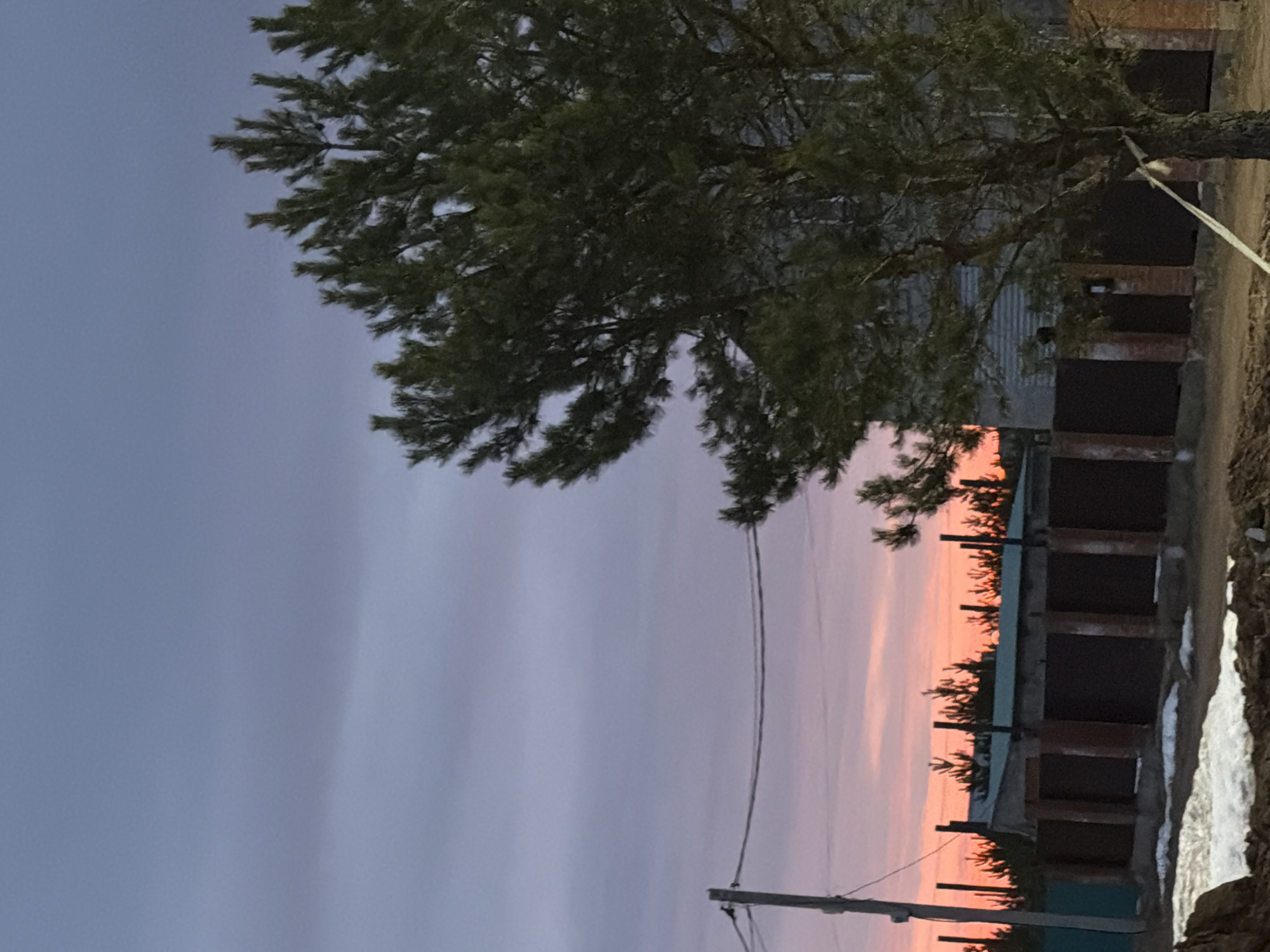 The image shows a landscape at dusk or dawn, possibly in Chaikovsky, Russia. A large evergreen tree dominates the upper part of the frame. Below the tree, a row of dark, possibly dilapidated structures or buildings runs along the right side of the image. The sky shows a gradient of colors, from pale blues and grays to orange and pink near the horizon. Utility poles and wires are visible in the lower part of the image, silhouetted against the sky. A small patch of snow is visible at the bottom right. The buildings are likely residential or industrial structures. There are no people visible in the image.