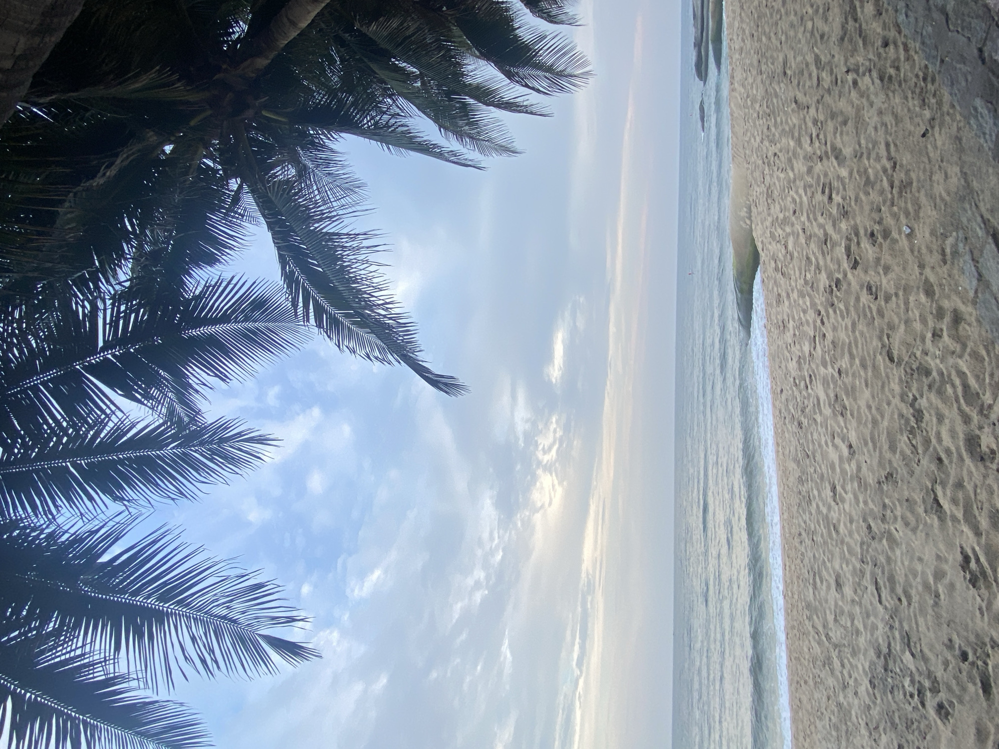 The image shows a serene beach scene in Mui Ne, Vietnam, framed by the fronds of palm trees. The sand is light brown and textured, with footprints scattered across its surface. Gentle waves lap at the shore, creating a foamy white edge where the water meets the sand. The ocean stretches out to the horizon under a pale blue sky filled with wispy clouds. A few dark rocks are visible in the water near the shore on the right side of the frame. The overall atmosphere is peaceful and natural.