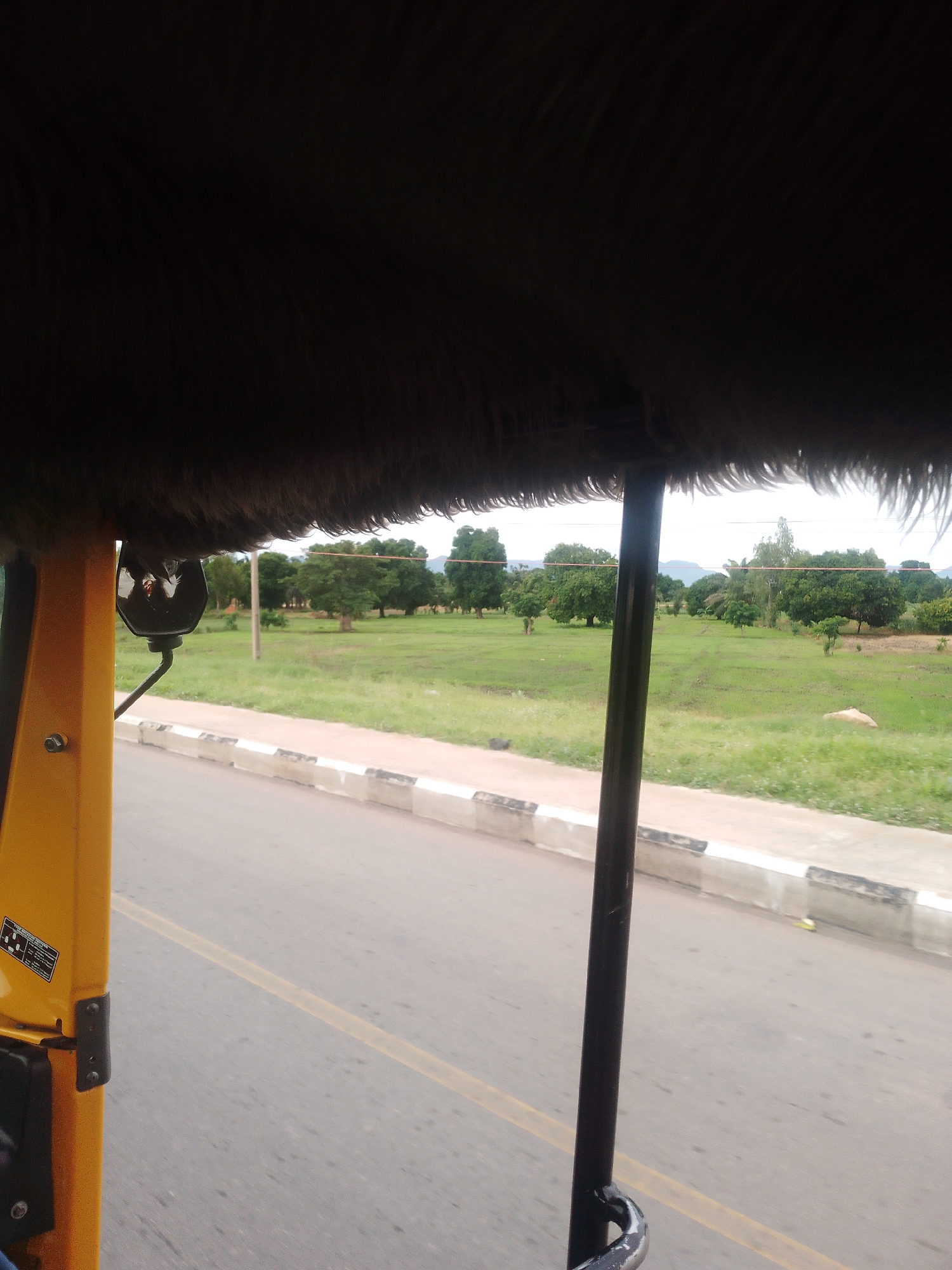 The image is taken from inside a yellow vehicle, likely an auto-rickshaw, looking out at a rural landscape. The foreground is dominated by the interior of the vehicle, with a dark, furry material hanging down from the roof. A yellow support pole is visible on the left, with a black side mirror attached. A paved road runs horizontally across the lower portion of the image, with a concrete curb and gutter on the right side of the road. Beyond the road is a large, open field covered in green grass, with scattered trees and some distant hills. The sky is overcast. The scene suggests travel through a semi-urban or rural area.