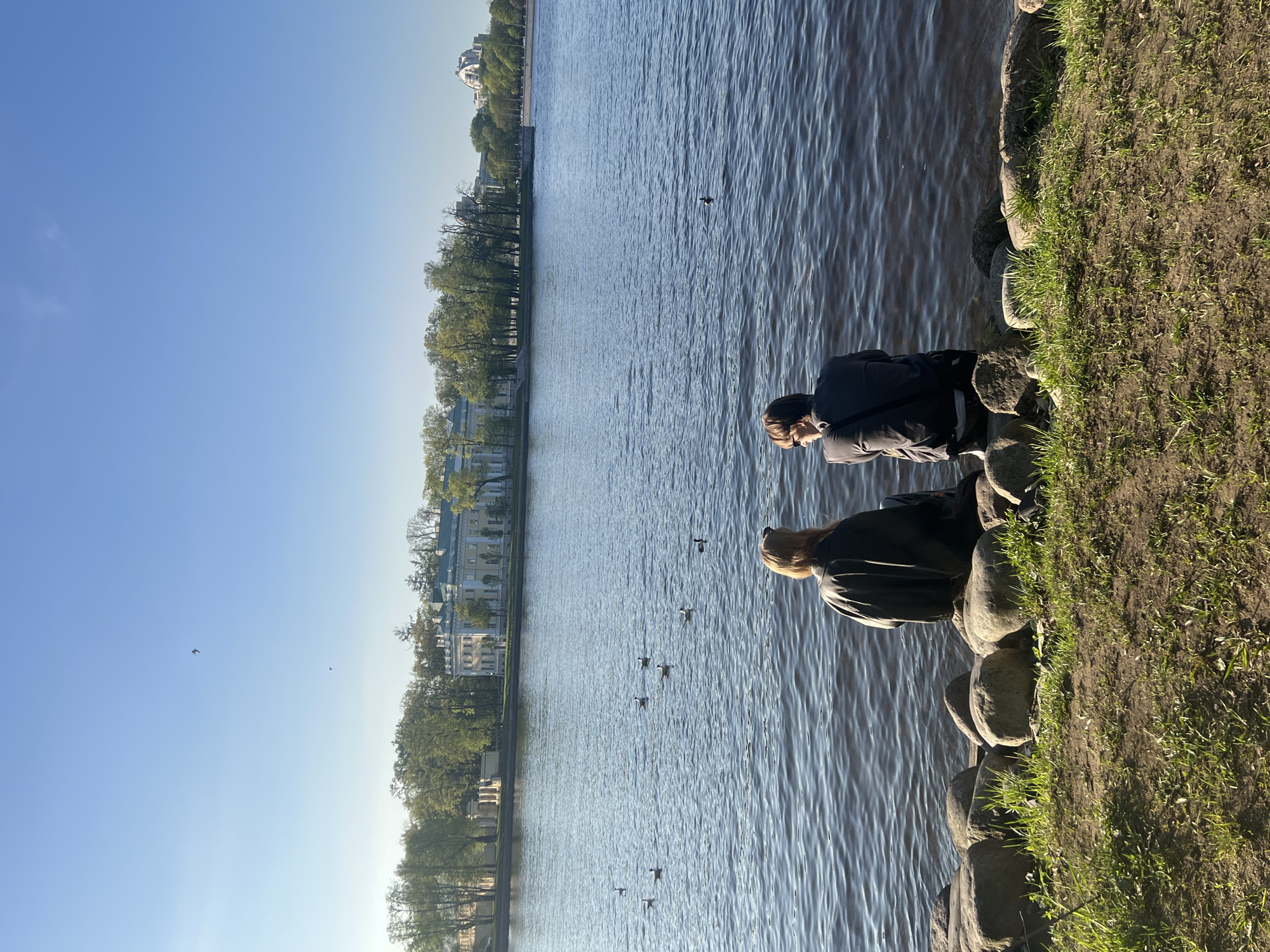 The image shows a waterfront scene in Saint Petersburg, Russia, with a view of a canal or river lined with classical-style buildings and trees. On the right, a grassy bank transitions to a stone-lined edge where two people are standing. One person has light-colored hair and is wearing a dark jacket. The other person is also wearing dark clothing and a hat or cap. They appear to be looking at the water. Several ducks or similar waterfowl are scattered on the water's surface. The sky is clear and blue. The photo appears to have been taken during the daytime.
