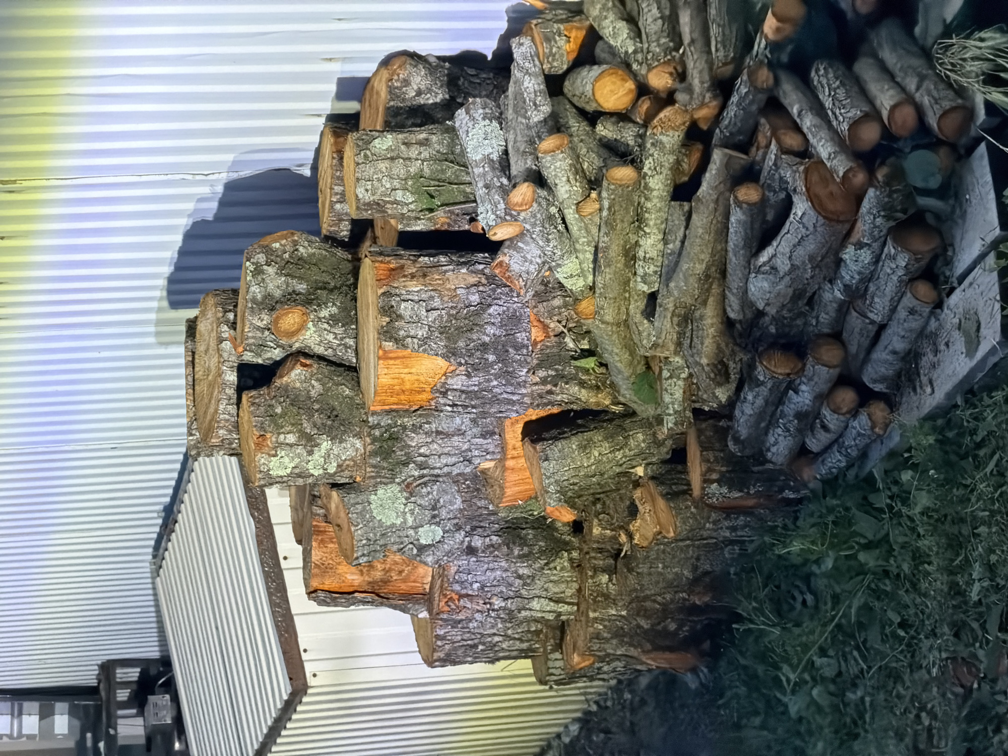 The image depicts a pile of cut logs stacked against a corrugated metal wall in the city of Dederkoy, Russia. The logs vary in size and thickness, with some larger, round stumps forming the base of the pile, and smaller, more uniformly cut branches layered on top. The wood appears to be seasoned, with visible bark texture and fresh-cut ends revealing orange-hued wood. The metal wall behind the logs is painted white and has vertical ridges, with a portion of a corrugated metal roof visible to the left. A yellow light illuminates the upper section of the wall, casting a shadow of the logs onto it. The ground in front of the logs is covered in green grass and weeds. The scene appears to be an outdoor storage area for firewood.