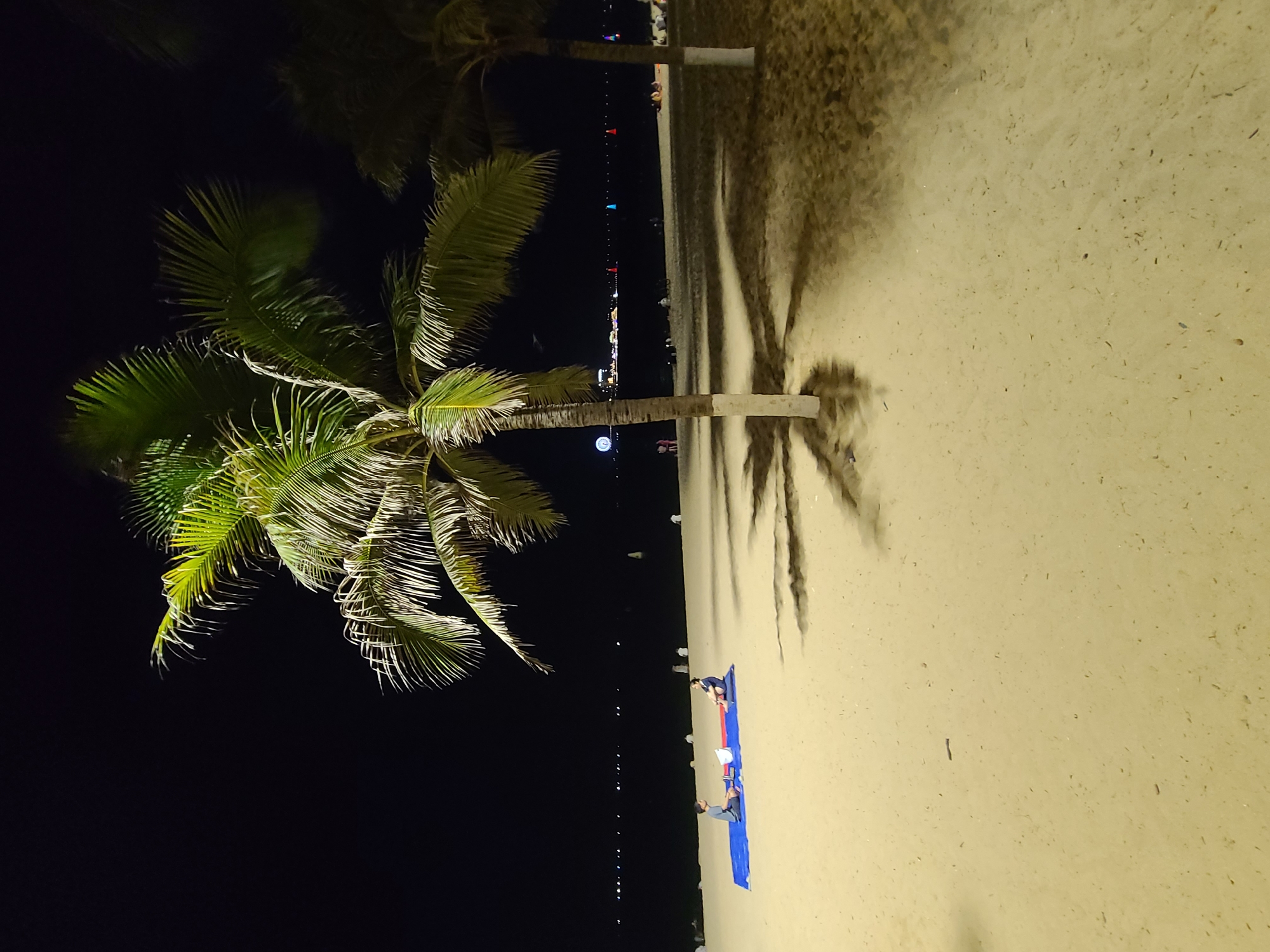 The image depicts a nighttime scene on a sandy beach in Nha Trang, Vietnam. The foreground features a palm tree with its fronds illuminated by artificial light, casting a long shadow across the sand. In the background, a line of lights suggests a developed area or the coastline of the city. The sky is dark, indicating it is nighttime.
On the beach, two individuals are visible, both lying on a large blue mat. One person is positioned closer to the camera, and the other is further away. They appear to be relaxing or engaging in an activity together. The sand itself is speckled with small debris. The overall mood of the image is serene and peaceful, with the gentle illumination highlighting the tropical setting. The presence of the palm tree and the distant lights strongly suggest a beach resort area, common in Nha Trang.