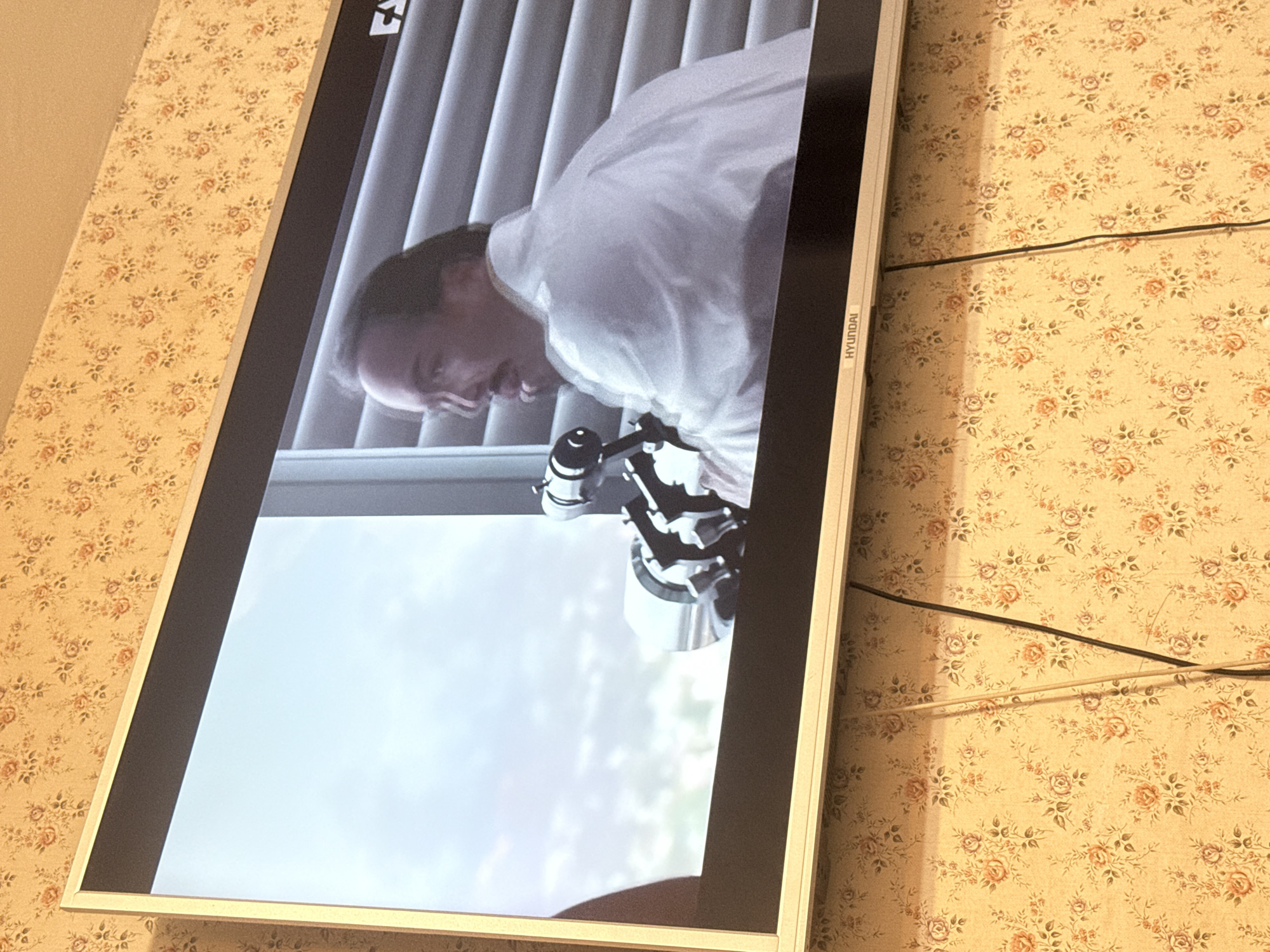 A television screen, displaying a man in a white shirt looking down at a metallic object, is mounted on a wall with floral wallpaper. The television brand is Hyundai. The image does not provide any information about the location in the city of Mytishchi, Russia.