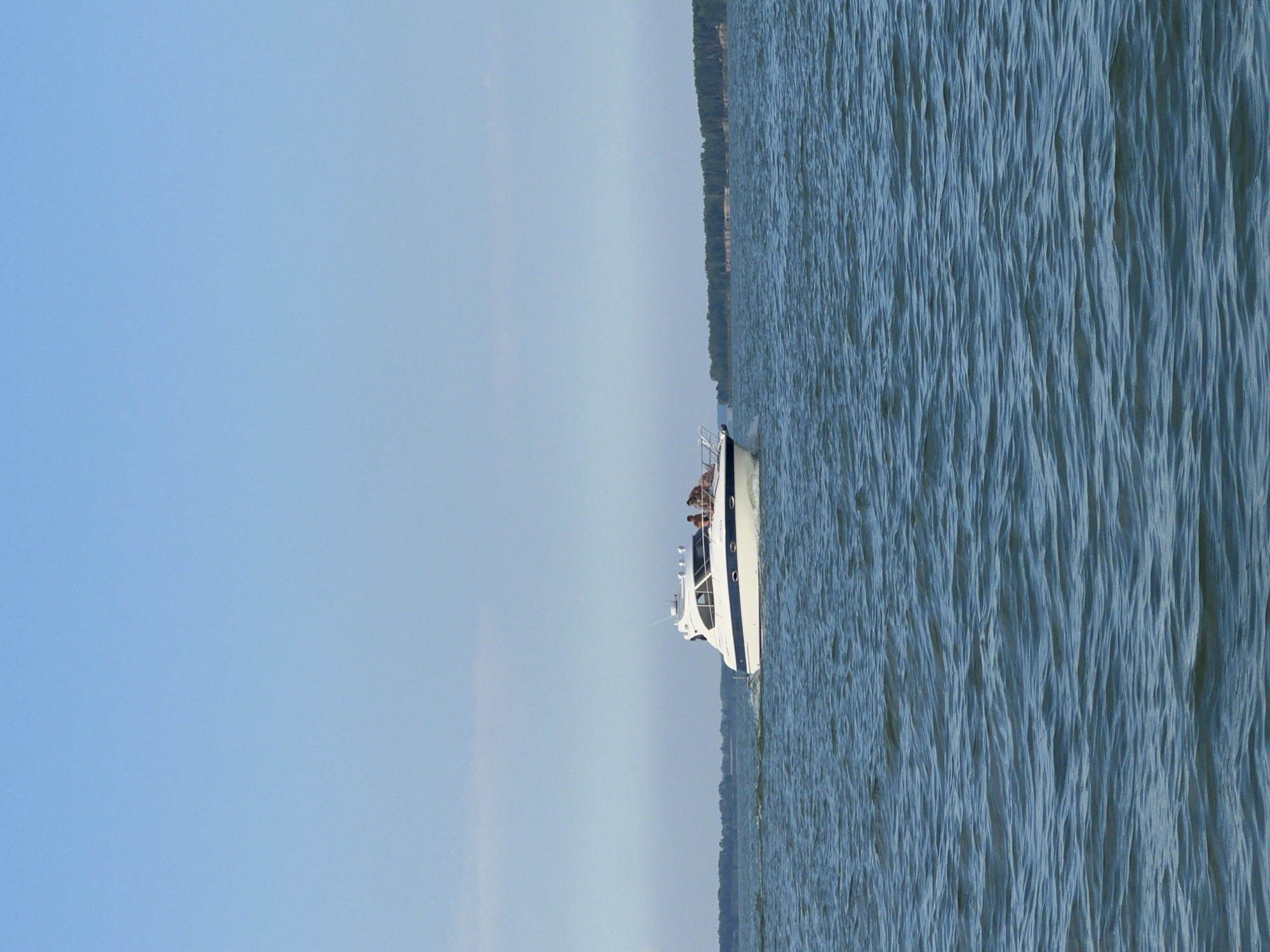 A white motor yacht with a dark blue stripe along its hull cruises on a body of water under a clear, light blue sky. The yacht, which appears to be a sporty cruiser, has several people on its deck. In the background, a line of dense green trees forms the shoreline, with a lighter colored strip of land visible in places. The water is choppy with visible waves. The scene suggests a leisure activity on a calm day, likely in a natural setting. The image does not contain any identifiable landmarks or features that would suggest a specific location within Borovoe, Russia.
