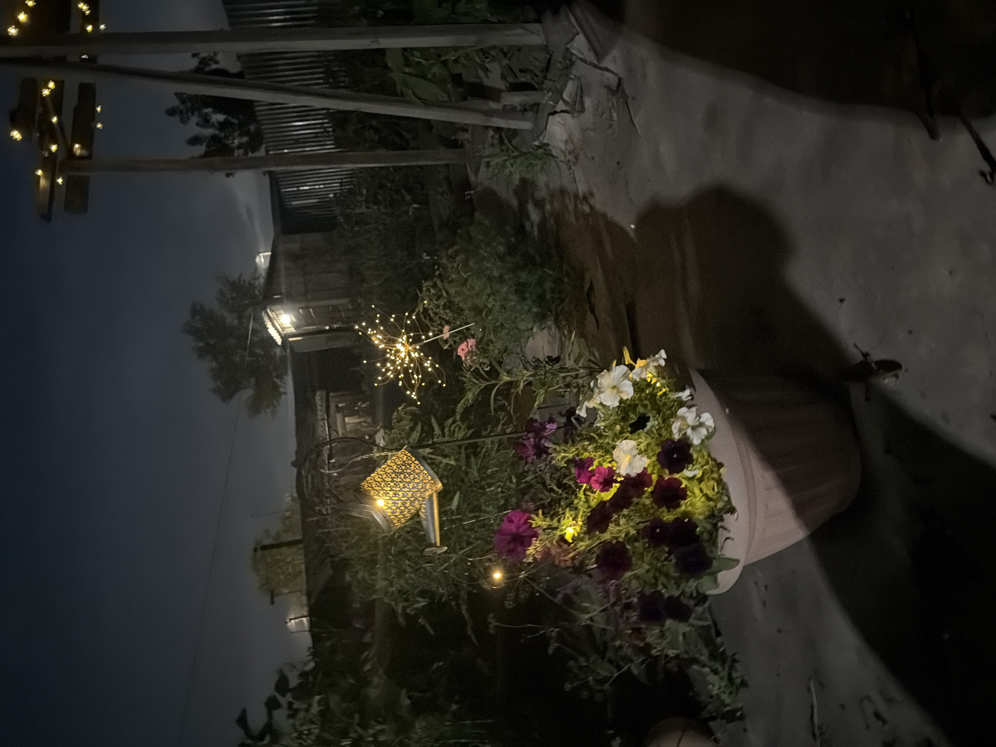 A dimly lit nighttime scene captures a backyard area. In the foreground, a large, light-colored planter overflows with a mix of dark purple, pink, and white petunias. To the left of the planter, a decorative solar-powered watering can bird feeder with a patterned metal shade hangs from a pole, illuminated by a small light. Further back and to the right, a cluster of small, starburst-shaped lights with delicate bulbs is visible amongst green foliage. A wooden structure with string lights overhead is partially visible on the far right. In the background, a small shed with a light on and a corrugated metal fence can be seen. The ground appears to be a mix of dirt and concrete, with shadows cast across it. The sky is dark and overcast. The location is identified as the city of Semey, Kazakhstan.