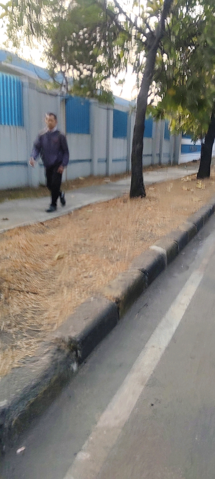 A man in a dark purple jacket and black pants walks along a sidewalk next to a street lined with trees and dry grass. A light blue and gray building with blue window frames is visible in the background. The image appears to have been taken outdoors in Mekarmukti, Indonesia.
