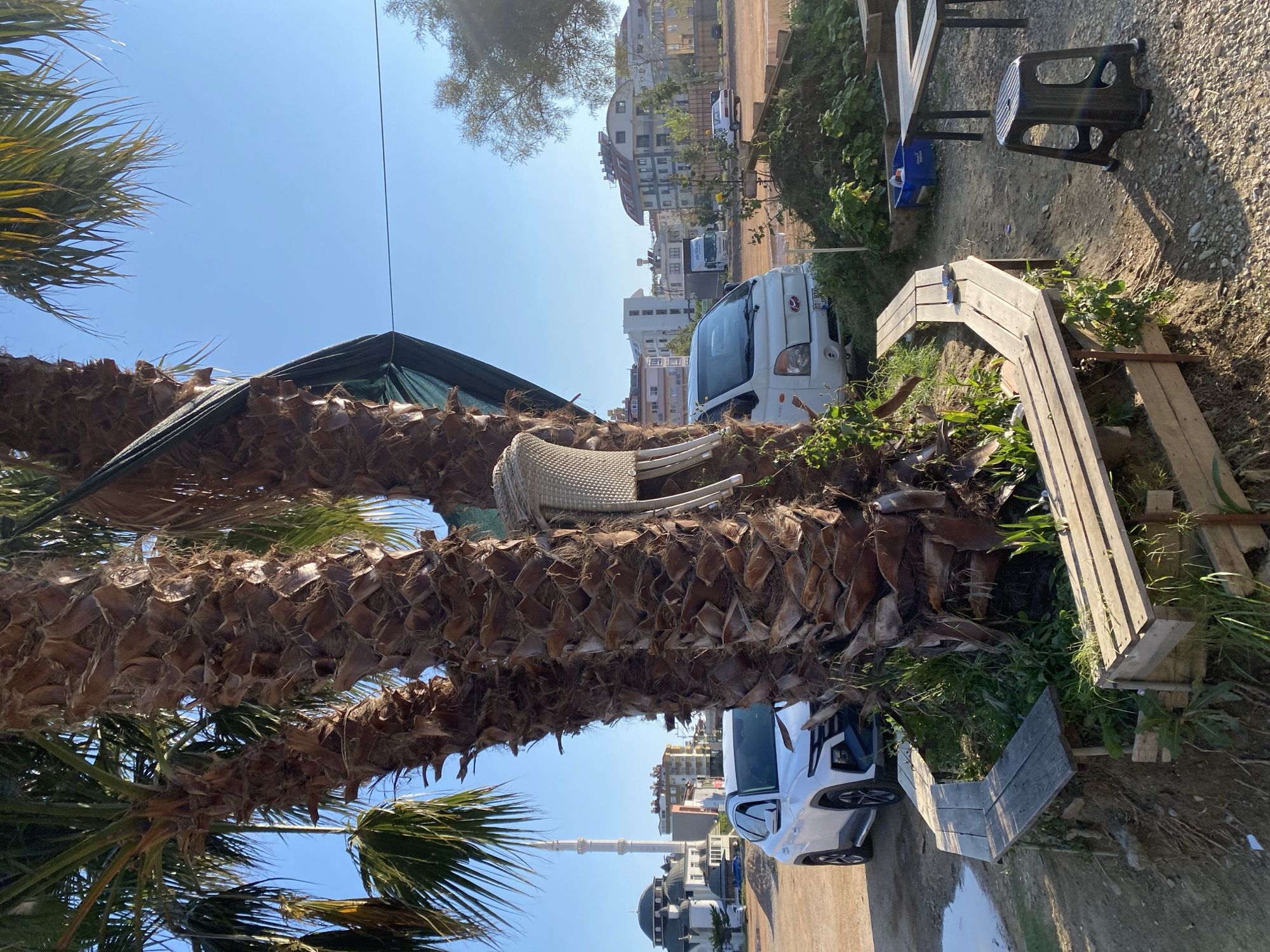 This media file captures an outdoor scene under a clear blue sky, suggesting bright daytime, likely mid-day or afternoon due to the strong sunlight. The setting appears to be an urban or semi-urban area in Alanya, Turkey, indicated by the architecture and mosque.
In the foreground, two large palm trees with rough, textured trunks dominate the left side of the frame. A green tarp or shade cloth is strung between their upper sections, with a thin wire extending into the sky. A white wicker chair is placed directly on one of the palm tree trunks. The ground beneath is a mix of dirt and gravel with patches of green vegetation.
To the right, a dark plastic stool and a wooden picnic table with benches are visible, alongside some wooden structures, possibly planters or low fences. No people are visible, and no specific activity is taking place, giving the scene a quiet, almost paused quality.
In the mid-ground and background, an urban landscape unfolds. Several multi-story buildings, appearing to be residences or hotels, line a street or unpaved area. Two vehicles are present: a white commercial van, identifiable as a Kia by its logo on the front grille, is parked on the right. Its visible license plate starts with "07", a Turkish province code for Antalya, where Alanya is located. A white SUV is partially visible further left. A prominent mosque with a large dome and a tall, slender minaret stands out against the clear sky in the background, reinforcing the location context. The overall impression is an informal roadside or outdoor seating area in a sunny, Mediterranean environment.