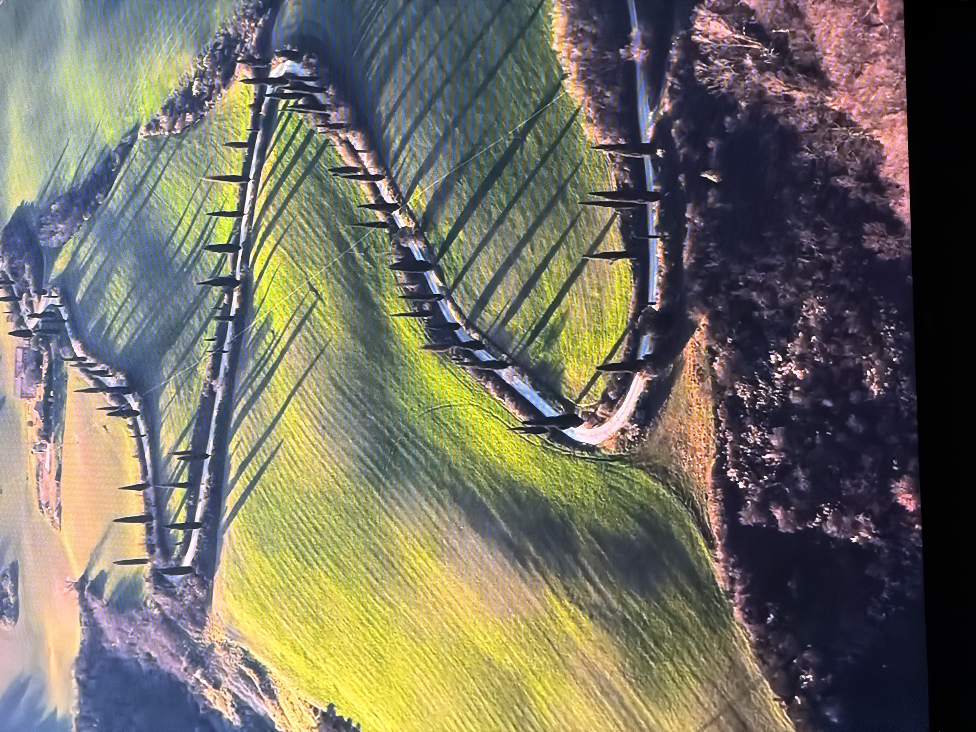 The image is an aerial view of a winding road lined with cypress trees in a rural landscape, likely Tuscany, Italy, not Chirchik, Uzbekistan. The road curves through rolling green hills, casting long shadows from the trees onto the fields. The fields are a vibrant green, with some areas appearing golden yellow, suggesting different types of crops or lighting conditions. In the distance, there are scattered buildings and more rolling hills. The overall scene conveys a sense of peaceful rural beauty. There are no people or animals visible in the image.