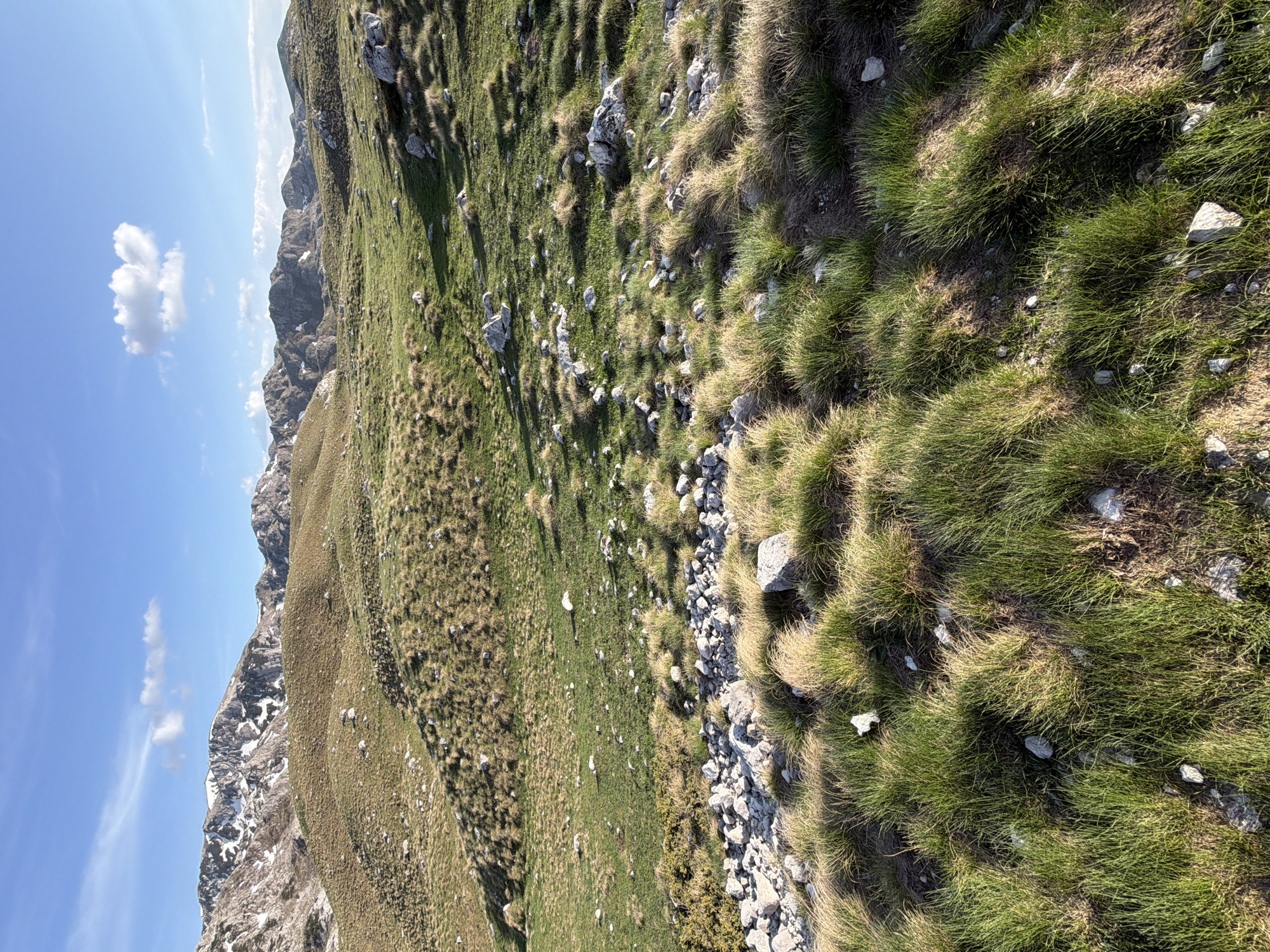 The image depicts a mountain landscape in Boričje, Montenegro. The terrain is characterized by grassy slopes interspersed with rocks and scree. Vegetation includes green grasses and dry, yellowish grass patches. The sky is blue with a few scattered clouds. The mountain ridge is visible in the distance. No people are visible.