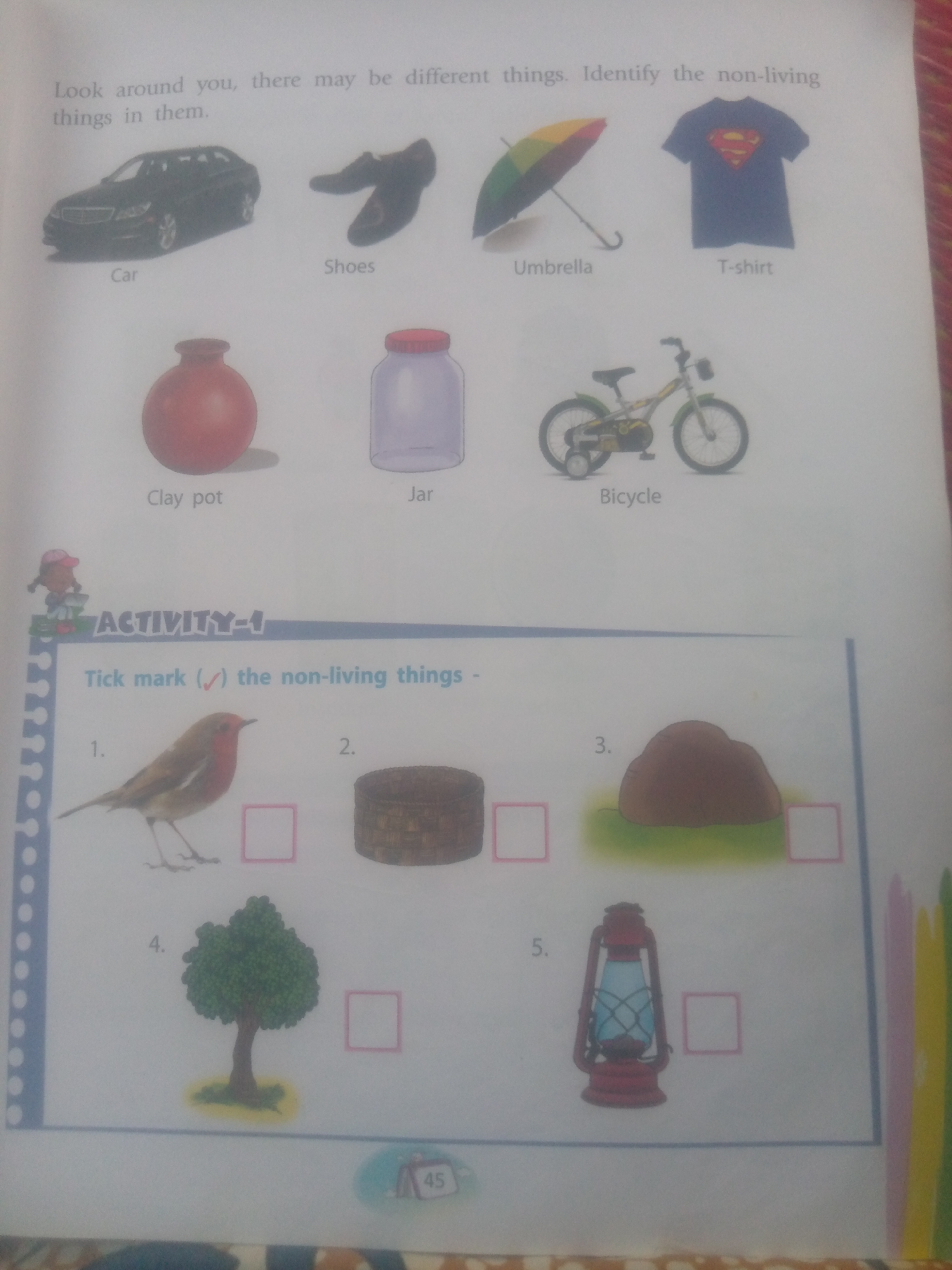The image is a page from a children's educational book. The top of the page features a heading "Look around you, there may be different things. Identify the non-living things in them." This is followed by a row of images depicting various non-living objects: a car, a pair of shoes, an umbrella, and a t-shirt. Below this row, another row displays a clay pot, a jar, and a bicycle.
The bottom portion of the page is labeled "ACTIVITY-1" and instructs the reader to "Tick mark (✓) the non-living things." This section contains five numbered items, each with an image and a checkbox. The items are: 1. A bird, 2. A woven basket, 3. A rock, 4. A tree, and 5. A lantern. The bird and the tree are living things, while the basket, rock, and lantern are non-living. The page also includes a small image of a cartoon character on the left margin and a page number "45" at the bottom right. The overall setting appears to be a flat, white surface, consistent with a printed page.