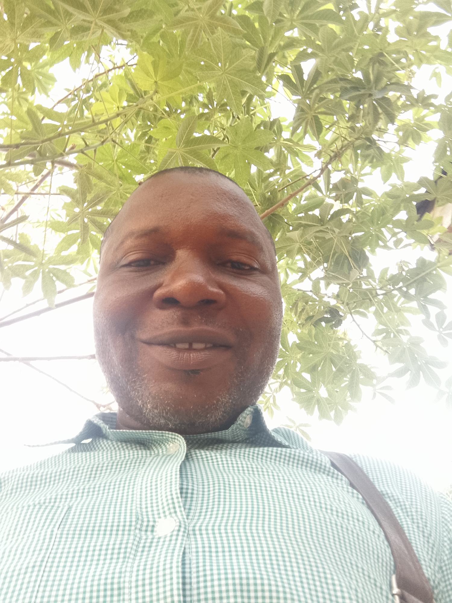 A man is pictured from a low angle, looking up at the camera. He has dark skin, a bald head, and graying facial hair. He is smiling slightly. He is wearing a green and white checkered button-down shirt, and a brown strap is visible across his shoulder. Above him, there are green leaves, possibly from a tree, obscuring the background. The location is not discernible.