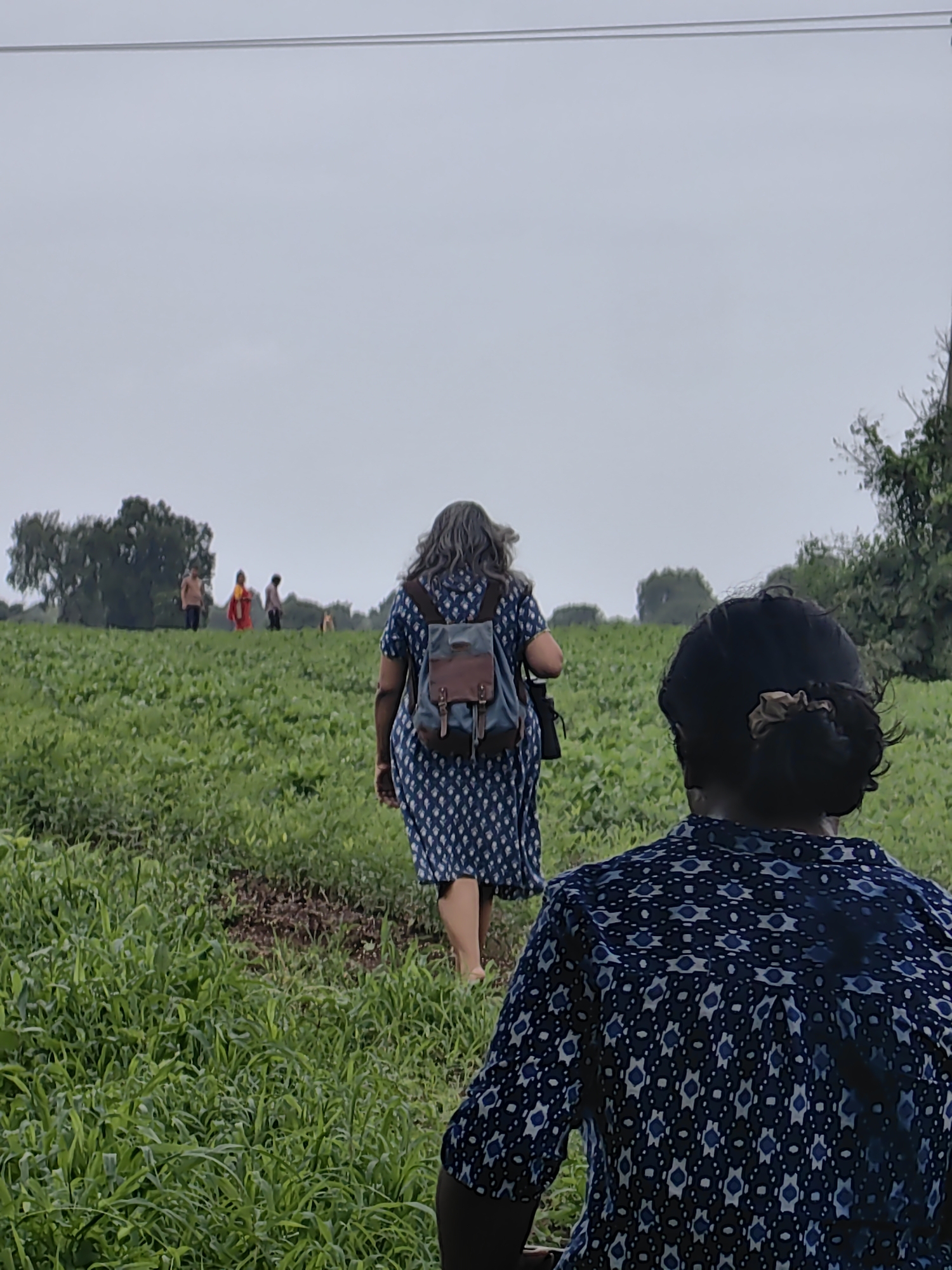 In Mhaiswadi, India, an overcast sky hangs above a lush green field with rows of crops. In the foreground, two individuals are captured from behind. The person on the right has dark hair pulled back into a bun, wearing a dark blue shirt with a white patterned design. To the left, another person with long, gray hair is seen from the back, wearing a blue and white patterned dress and a blue backpack with brown leather accents. In the middle ground, several people are visible in the distance. One individual stands out in a bright red garment, while others are in more subdued clothing. The field appears to be a cultivated area, with hints of darker soil between the green rows. The overall scene suggests a walk or exploration through agricultural land under a cloudy sky.