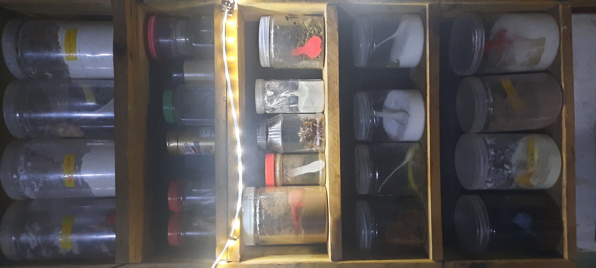 In the city of Jatitengah, Indonesia, an indoor scene depicts a wooden shelf unit filled with various jars containing powdery substances. The jars are of different sizes and shapes, with some having clear plastic lids and others colored ones (red, green). Several jars have yellow labels, though the text is largely illegible due to the image resolution. The lighting in the scene is dim, with a string of small white lights illuminating the middle shelf, creating a warm glow. The items in the jars appear to be spices or baking ingredients. The overall setting suggests a home or a small shop.
