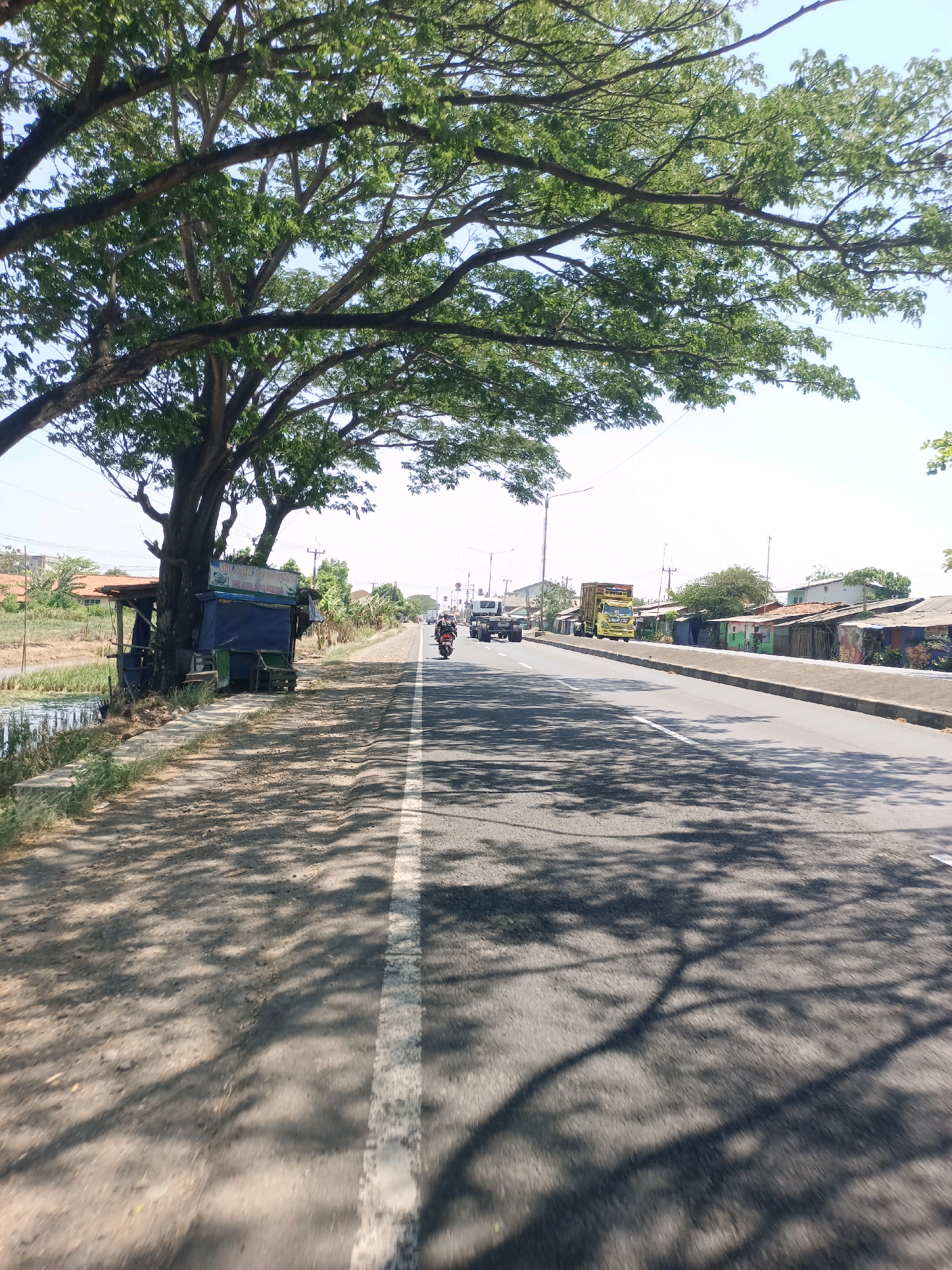 This is a medium-angle, eye-level shot of a roadside scene in Subang, Indonesia. The image is dominated by a large, leafy tree on the left side of the frame, casting a dappled shadow across the asphalt road. A small, makeshift roadside stall with a blue tarp and wooden structure is situated beneath the tree. A body of water, possibly a drainage ditch or canal, runs alongside the road to the left of the stall.
The road itself is paved with asphalt and has a white line marking its center. There are several vehicles on the road, including a scooter with a rider in the foreground, two trucks in the middle distance, and another truck further down the road. On the right side of the road, there is a line of simple buildings with corrugated metal roofs and what appear to be small shops or residences. Power lines and utility poles are visible in the background. The sky is clear and bright, suggesting a sunny day. The overall impression is that of a typical, somewhat rural, roadside environment in Indonesia.