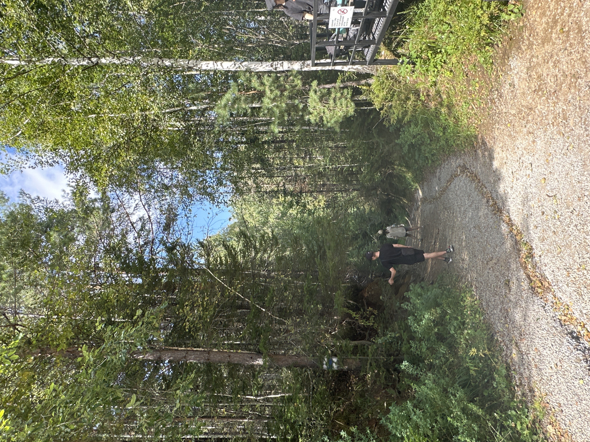 The image depicts a wooded area with a gravel path winding through it. Two individuals are walking on the path, one in a black t-shirt and shorts, the other in lighter-colored clothing. To the right of the path, a metal platform with railings is visible, and a person wearing a dark t-shirt and a hat is standing on it. The environment is characterized by tall trees, dense foliage, and a clear blue sky with some clouds. The path appears to be well-maintained.