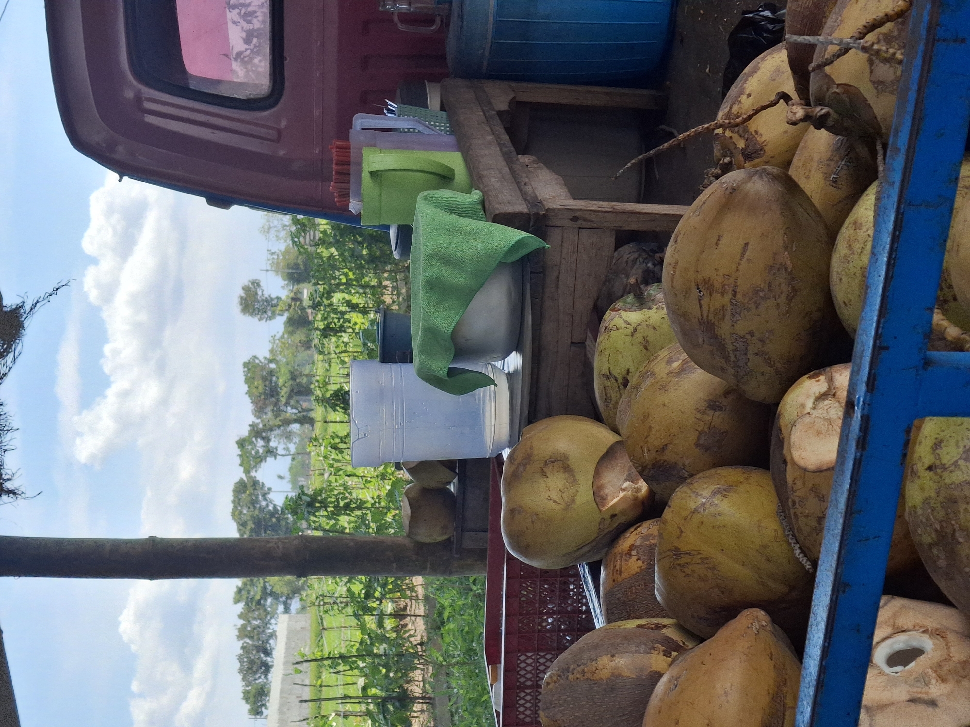 The image depicts an outdoor scene at what appears to be a roadside coconut stand in Jogotrunan, Indonesia. A collection of whole and halved coconuts is prominently displayed in a blue metal container in the foreground. Behind the coconuts, a wooden table is set up, laden with various items. These include a large clear plastic jug filled with liquid, a green pitcher, a bowl covered with a green cloth, and a container holding red straws. In the background, lush green fields stretch towards a line of trees under a bright blue sky dotted with white clouds. The scene suggests a humid, tropical environment, typical of Indonesian landscapes. A red pickup truck is partially visible on the right side of the image, its side and a portion of its window showing. A tall wooden post, likely part of a makeshift shelter, stands vertically in the middle ground. The overall impression is that of a humble, local business operating in a rural or semi-rural setting.