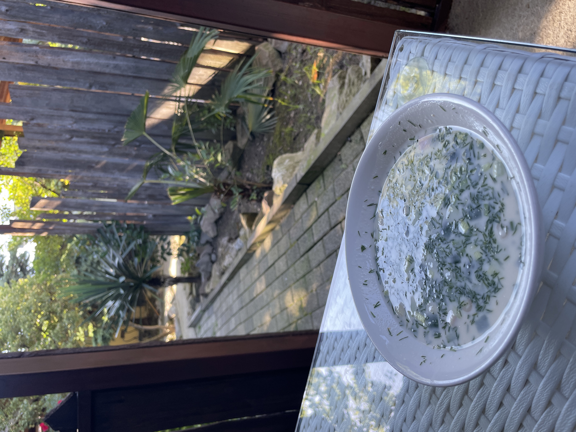 This image captures an outdoor dining scene in Sochi, Russia, offering a detailed view of a cold soup on a table with a garden background.
In the immediate foreground, a white, round ceramic bowl holds a serving of a light-colored, possibly dairy-based cold soup, generously garnished with finely chopped green herbs, predominantly dill, and containing visible diced pale green and white ingredients, likely cucumbers and other vegetables. The liquid surface reflects the overhead light sources. The bowl rests on a clear glass-top table, beneath which a textured white woven material, resembling wicker, is visible.
The background presents an outdoor garden setting, framed by dark wooden architectural elements on the left and right, suggesting a doorway or patio opening. A paved pathway, constructed from light-colored rectangular pavers, extends into the mid-distance on the left side of the garden. The garden features lush green vegetation, including a prominent spiky-leaved plant, possibly a Yucca or Dracaena, in the center-left, and fan-leafed palms on the right. A weathered wooden fence, composed of vertical planks with gaps between them, defines the property boundary on the right. Strong sunlight illuminates the scene, casting defined shadows from the fence posts and dapples through the foliage onto the ground. No individuals or overt human actions are visible.