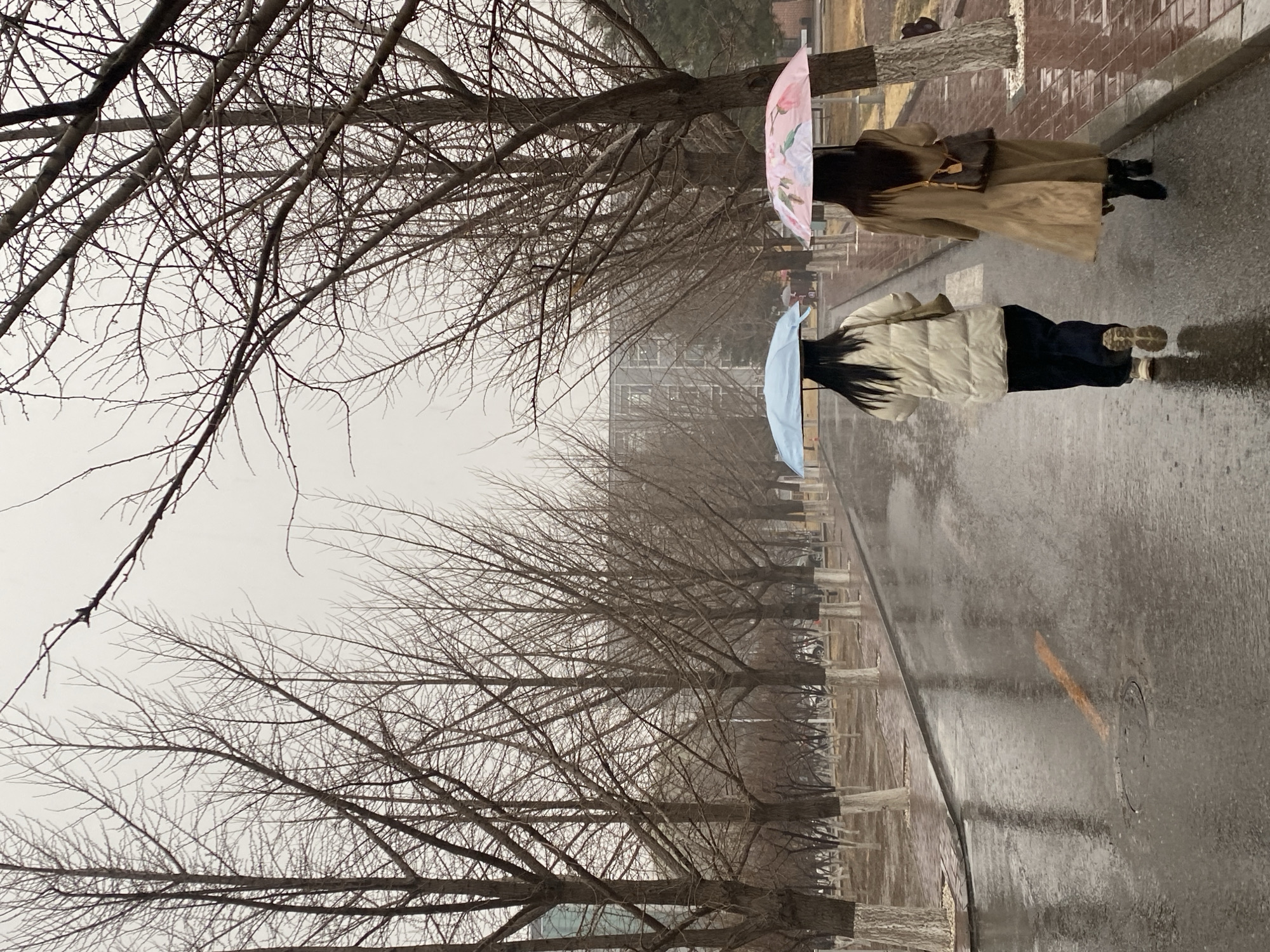 The image shows a street scene in Zhongtun, China on a rainy day. Two people are walking away from the camera. The first person is wearing a light-colored, quilted jacket and dark pants, and carrying a light blue umbrella. The second person is wearing a tan coat and carrying a pink umbrella and a brown satchel. The street is wet and reflects the sky. Bare trees line the street on both sides. A building is visible in the distance.
