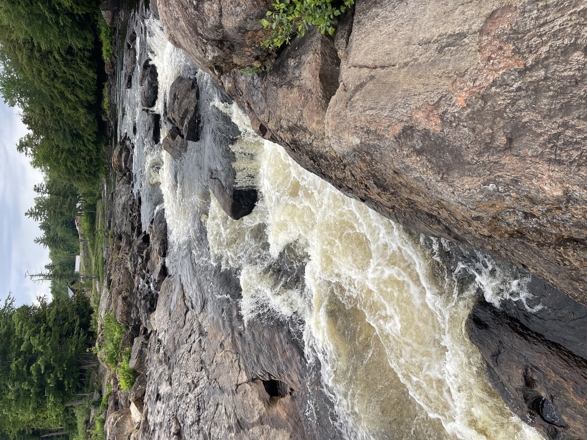 An aerial perspective showcases a moderately sized river flowing through a rocky, natural landscape. The river, appearing somewhat turbid with a yellowish-brown hue, cascades over dark, wet rocks, creating whitewater rapids and froth. The banks of the river are lined with a mixture of large boulders and smaller rocks, with patches of green vegetation, including ferns and small bushes, growing amongst them. In the background, a dense forest of green trees dominates the horizon, with a sliver of overcast sky visible above. The scene appears to be located in a rural or natural area, possibly within or near the Village of Lyons Falls, United States of America, given the context of its setting. There are no people or man-made structures immediately visible in the immediate vicinity of the river, though faint hints of buildings can be seen in the distant background, nestled within the treeline.