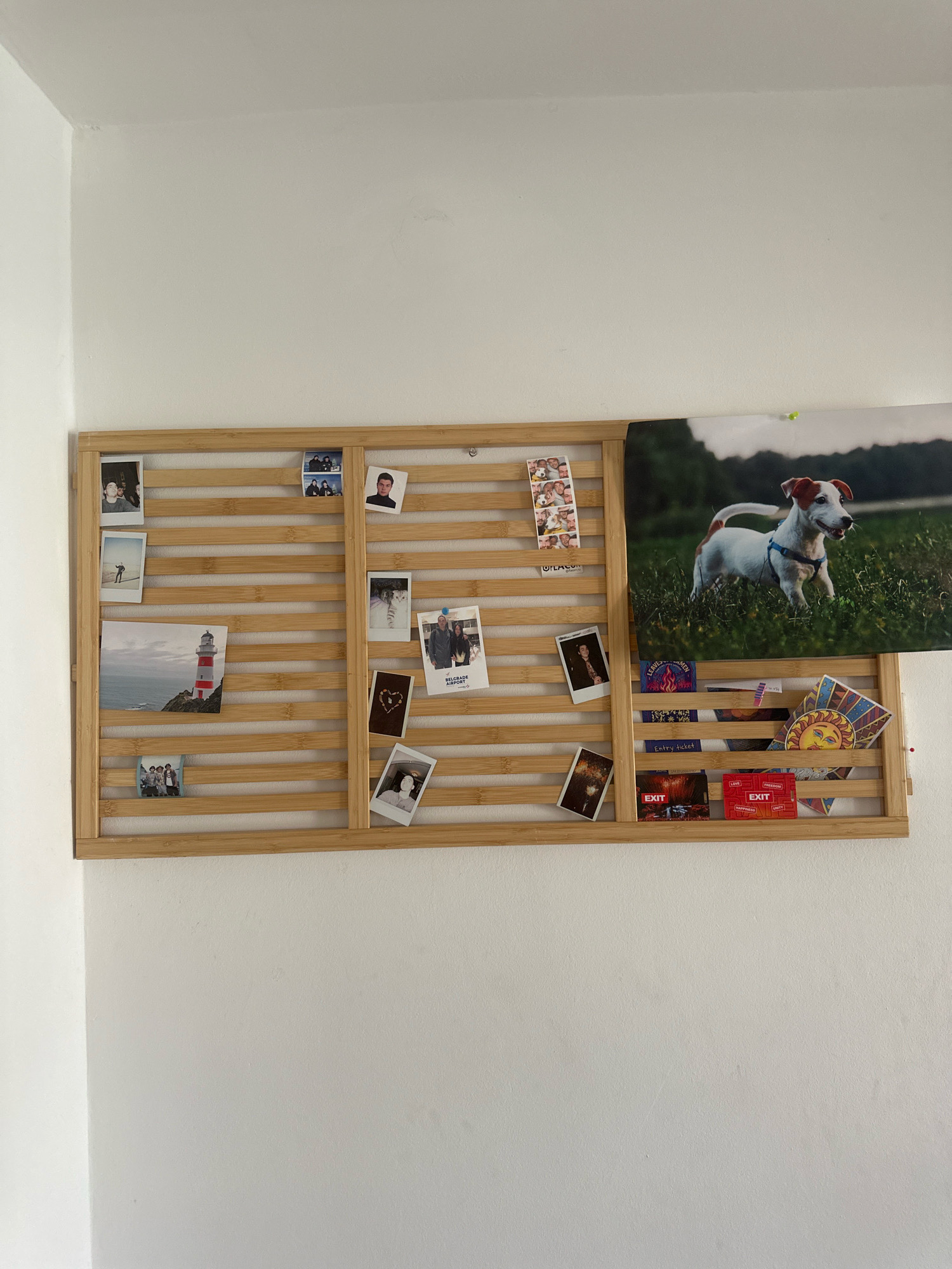 A bamboo slat board is mounted on a white wall, displaying various photographs and small items. The board is divided into sections, with photographs of people, a lighthouse, and a dog placed on the slats. The bottom right section of the board contains several small cards and tickets, including ones labeled "EXIT" and "Entry ticket." A large poster of a dog in a grassy field is pinned to the wall above the right side of the board. The scene appears to be indoors, possibly in a residential setting in Budva, Montenegro, given the context provided.
