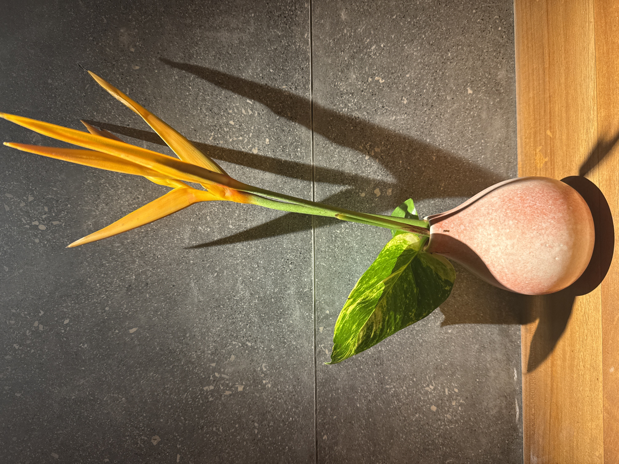 A still-life composition featuring a vase with plant material, likely photographed indoors in North Kuta, Indonesia. A pink, pear-shaped vase rests on a wooden surface along the right edge of the frame, with its shadow cast to the right. From the vase emerges a green stem supporting an orange flower with elongated petals. A single green leaf with variegated yellow markings is also visible. The background is a gray, textured surface, possibly a wall. The light source casts shadows from the flower and vase, adding depth to the scene. The image is rotated counter-clockwise to be viewed horizontally.