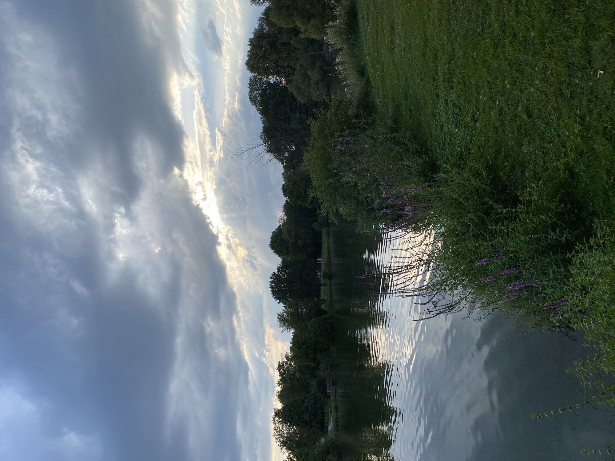 A body of water reflects the cloudy sky, with a line of trees bordering the opposite bank. The foreground features a grassy area with lush green foliage and purple flowers blooming along the water's edge. The sky is filled with dramatic clouds, with shafts of sunlight breaking through, creating a moody atmosphere. The image appears to be taken from the shore of a lake or pond, likely in a park or natural area within the city of Urbach, Germany. No people or animals are visible in the scene.