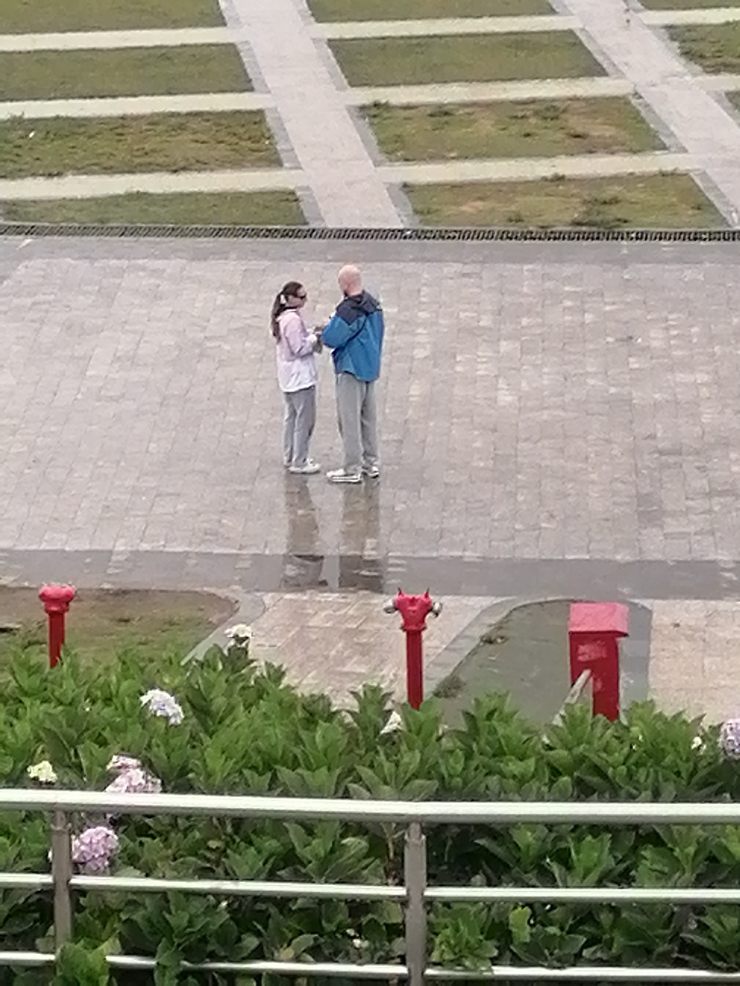 Two individuals, a woman and a man, are standing on a wet, paved surface, facing each other. The woman is wearing a light-colored hooded jacket and grey pants, with her hair pulled back. The man, who is bald, is wearing a blue jacket and grey pants. They appear to be in conversation. In the foreground, a lush green bush with hydrangeas is visible, partially obscured by a metal railing. Two red fire hydrants and a red mailbox are also present in the lower portion of the image. The background shows a paved area with grassy squares, characteristic of a public park or plaza. The scene is likely located in Da Lat, Vietnam, given the architectural style and vegetation.
