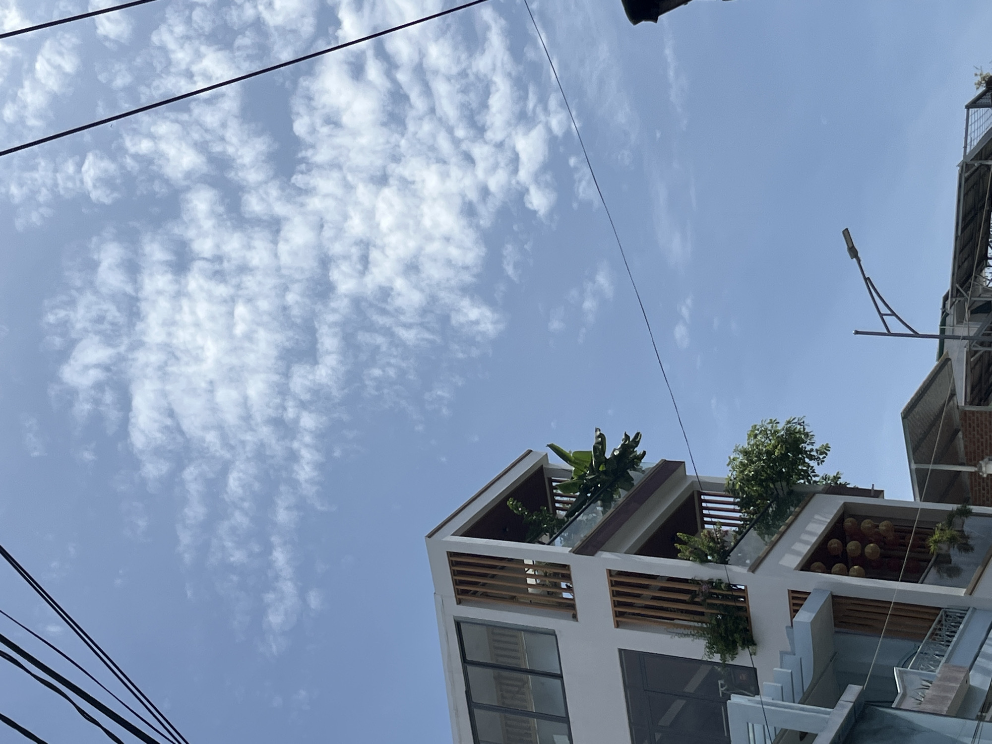 The image depicts a multi-story building with modern architectural elements, featuring white walls, large glass windows, and wooden slatted accents. The building has balconies adorned with lush green plants, including what appear to be banana trees. Visible on a lower floor are decorative round lanterns. The building is situated in a city environment, with a street lamp visible in the lower right portion of the frame and electrical wires crossing the sky. The sky is a clear blue with scattered white clouds. The scene appears to be in Nha Trang Ward, Vietnam, based on the context provided.