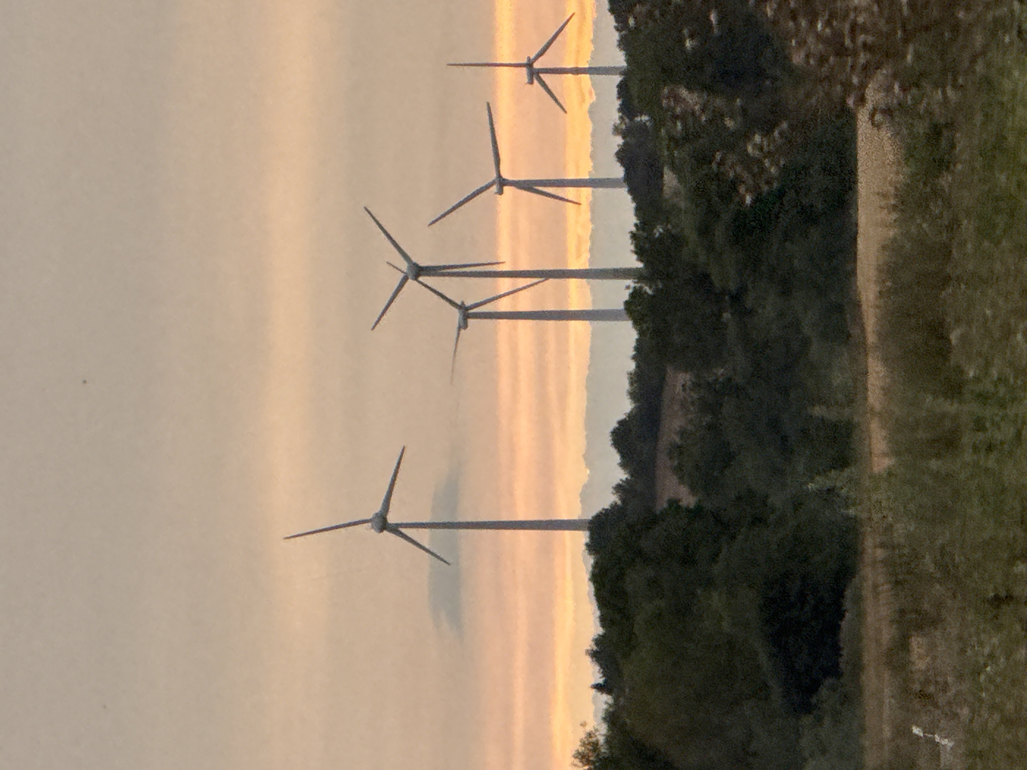 The image depicts a rural landscape in Hohenstein, Germany, featuring a row of wind turbines silhouetted against a dusky sky. The sky exhibits hues of orange and peach, indicating either sunrise or sunset. Several wind turbines, with their tall, slender towers and rotating blades, are visible on a distant ridge. The foreground is characterized by dense green foliage, likely trees and bushes, and a field with dry grass. The overall scene is serene and captures the natural beauty of the German countryside.
