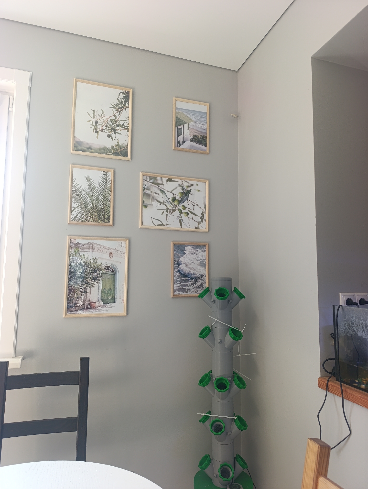 The image depicts an interior scene with several framed pictures hanging on a light gray wall. The pictures feature nature-themed imagery, including olive branches, palm fronds, a coastal scene with a building, and a wave. To the right of the pictures is a tall, gray hydroponic growing system with green openings. A black wooden chair is visible in the foreground to the left, partially obscuring a white circular surface, likely a table. To the far right, a small aquarium is visible with a light-colored shelf beneath it and electrical outlets on the wall. The environment suggests a domestic setting. There are no people visible in the image. The location of Ivanovka, Russia, is not discernible from the visual content of the image.