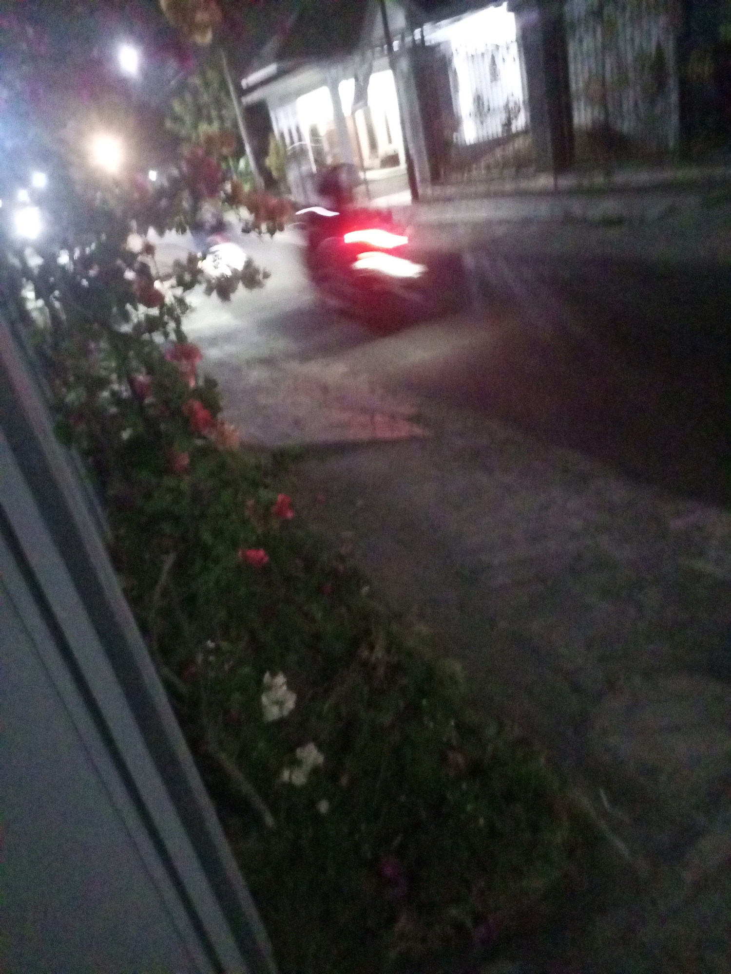 The image depicts a dimly lit street scene at night, likely in Ngasem, Indonesia, given the provided context. A motorcycle is in motion, its tail lights emitting a bright red glow that blurs into streaks due to movement. The motorcycle is on the right side of the frame, moving away from the viewer and towards the background. In the foreground, on the left side of the image, is a lush green bush with red flowers and some white blossoms. A dark, angled structure, possibly a wall or fence, is visible on the far left. The background shows a building with illuminated windows and a barred entrance. The overall image is blurry and grainy, suggesting it was taken in low light conditions with a handheld camera.