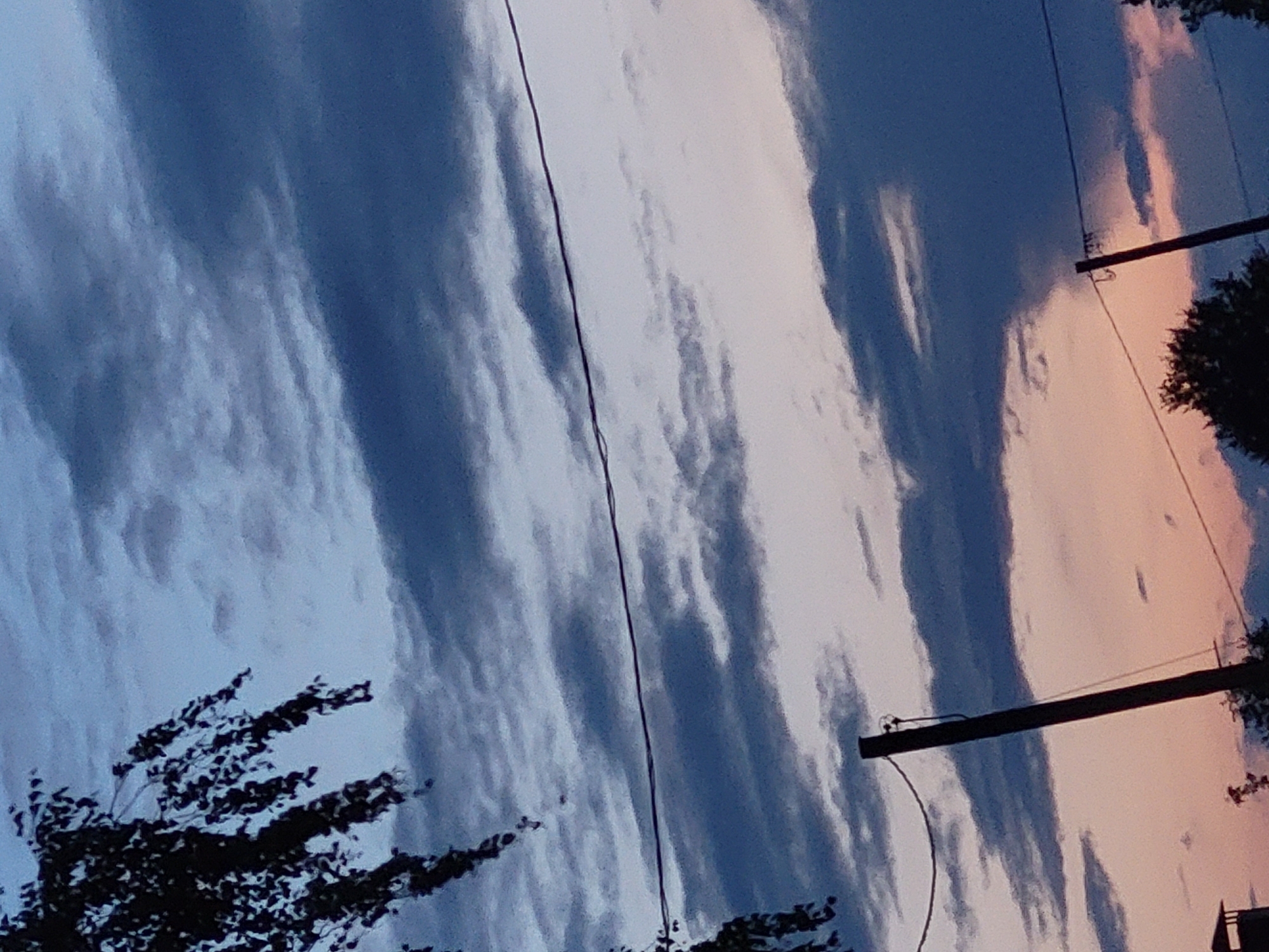 The image shows a cloudy sky with hues of blue, gray, and pink, suggesting it might be twilight or dawn. A silhouette of tree branches is visible on the upper left. In the foreground, two utility poles are present. One pole, on the left side of the image, is angled and has a wire attached to it. Another pole, on the right side, is also visible with a wire. A thin, dark wire stretches horizontally across the middle of the image, connecting unseen points. The bottom portion of the image reveals a hint of tree foliage and possibly a small structure on the far left. The scene appears to be outdoors in a possibly rural or suburban setting. There are no people or animals visible in the image.