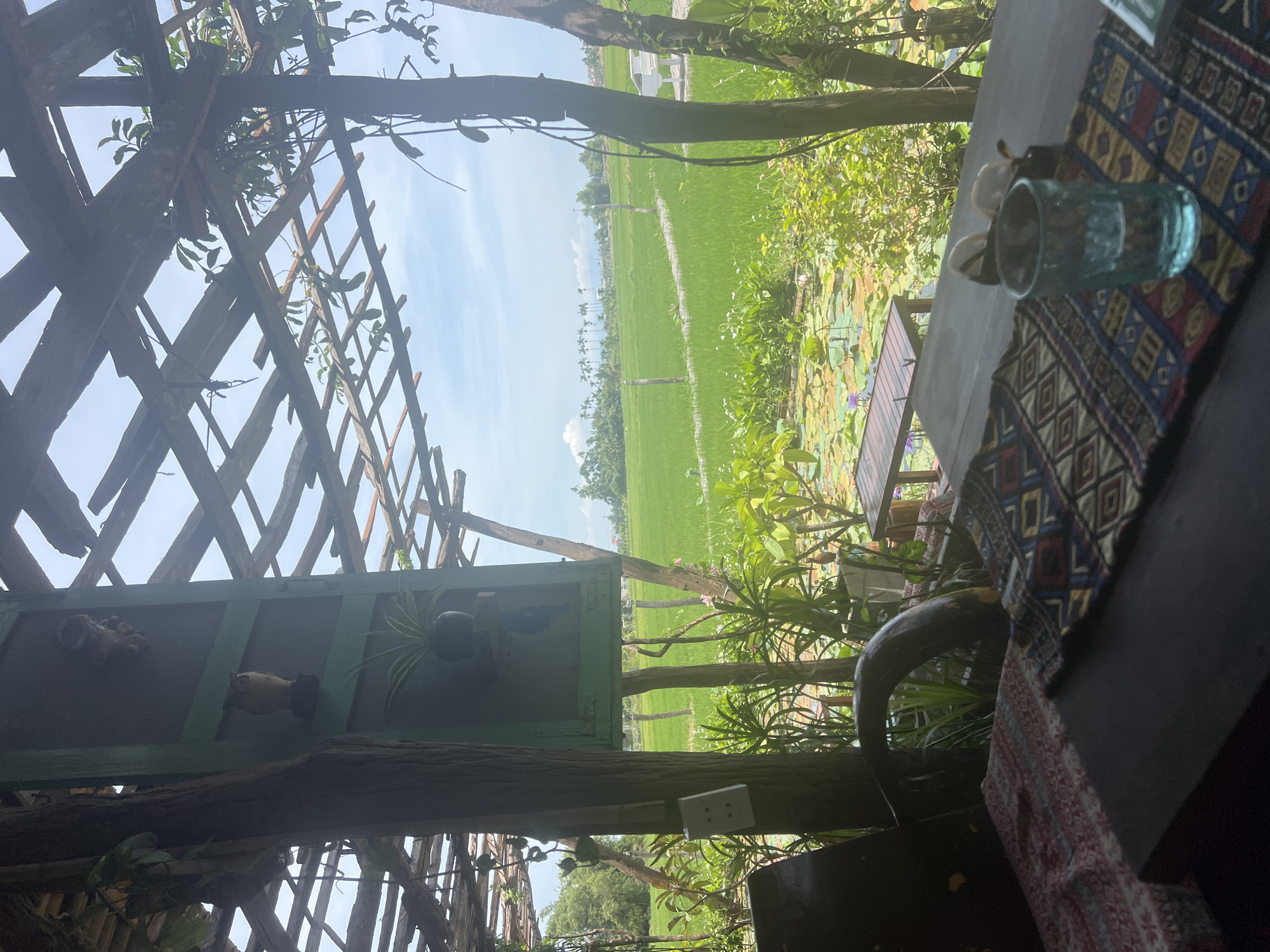 The image depicts a rustic, open-air seating area overlooking a vibrant green rice paddy in Hoi An, Vietnam. The foreground is dominated by a wooden table covered with patterned cloths, a partially filled glass, and a pair of sunglasses. Behind the table, the lush vegetation includes plants with large leaves and water lilies in a pond. A wooden structure, seemingly a pergola or thatched roof, provides shade, with vines and leaves growing through its beams. A decorative element featuring an owl and a potted plant is mounted on a green wooden panel. In the mid-ground, the expansive rice fields stretch towards a line of palm trees in the distance, under a bright, partly cloudy sky. The scene conveys a sense of tranquility and immersion in nature.