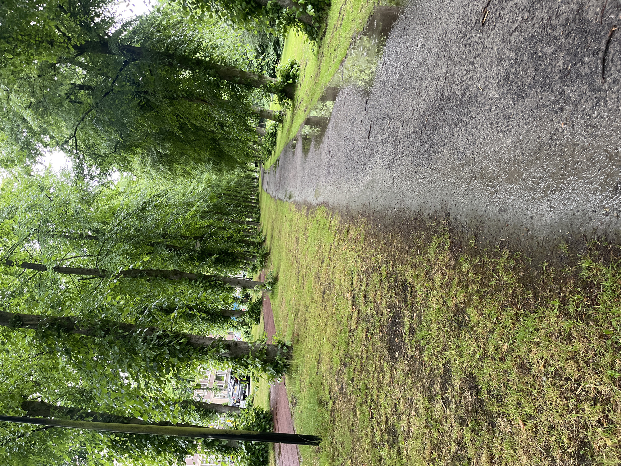 The image depicts a tree-lined path in an urban park. Tall, leafy trees flank both sides of a paved walkway, which appears wet, suggesting recent rain. The path itself is a mix of gravel and asphalt, with puddles reflecting the overcast sky. To the left of the path, a grassy area transitions into a red-colored jogging track. In the background, buildings and a parked car are visible, indicating the park is situated within a city. The overall atmosphere is serene and natural, despite the urban setting.