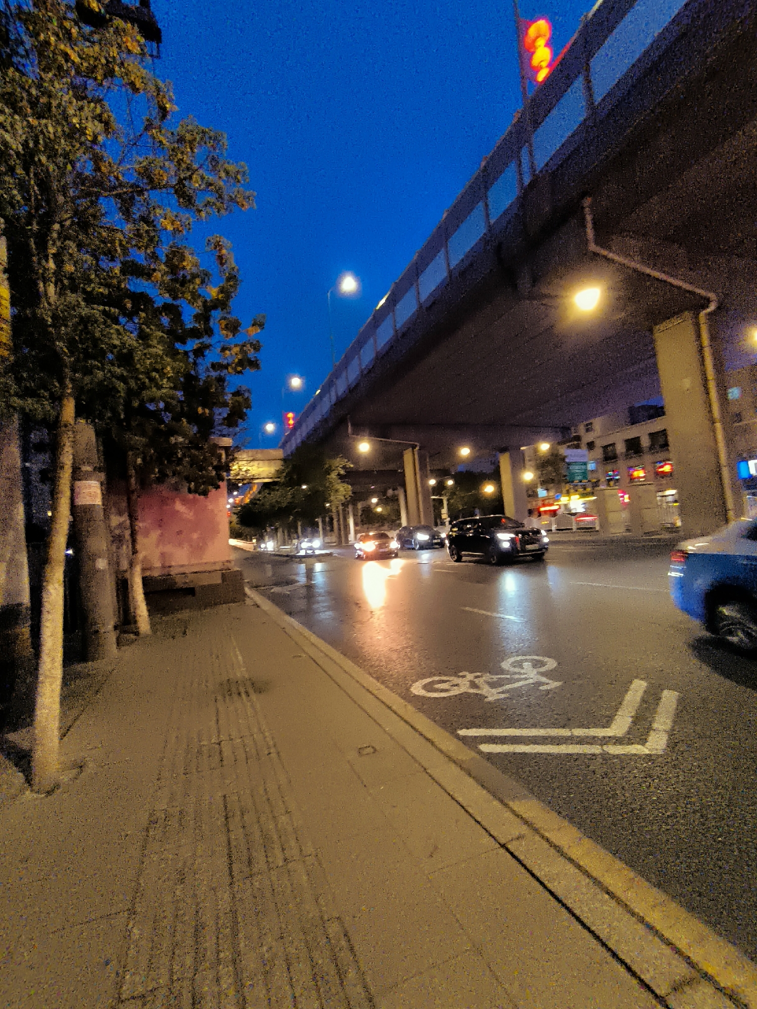 This is a low-angle, slightly distorted, nighttime photograph of a city street scene in Ürümqi, China. The sky is a deep twilight blue, with hints of red from traffic lights visible on an elevated structure overhead. The elevated structure itself is dark and imposing, with visible lights and windows on buildings behind it.
In the foreground, a tree with sparse, yellowing leaves stands on the left side of the frame, adjacent to a weathered, pink-hued wall. A sidewalk, paved with concrete and textured with raised lines, runs along the left side of the street. The street surface is wet and reflective, indicating recent rain or dampness.
Several vehicles are on the road. A black SUV is prominently positioned in the right lane, its headlights illuminated. To its left, other cars are visible, some with their headlights on, creating streaks of light on the wet pavement. The blue rear of a car is visible on the far right of the image.
Road markings are present, including a white bicycle lane symbol and directional arrows. The overall impression is of a busy urban environment at dusk or night, possibly after rainfall, with the elevated highway casting a shadow over the scene. The image appears to be captured with a mobile phone camera due to its wide-angle distortion and noise.