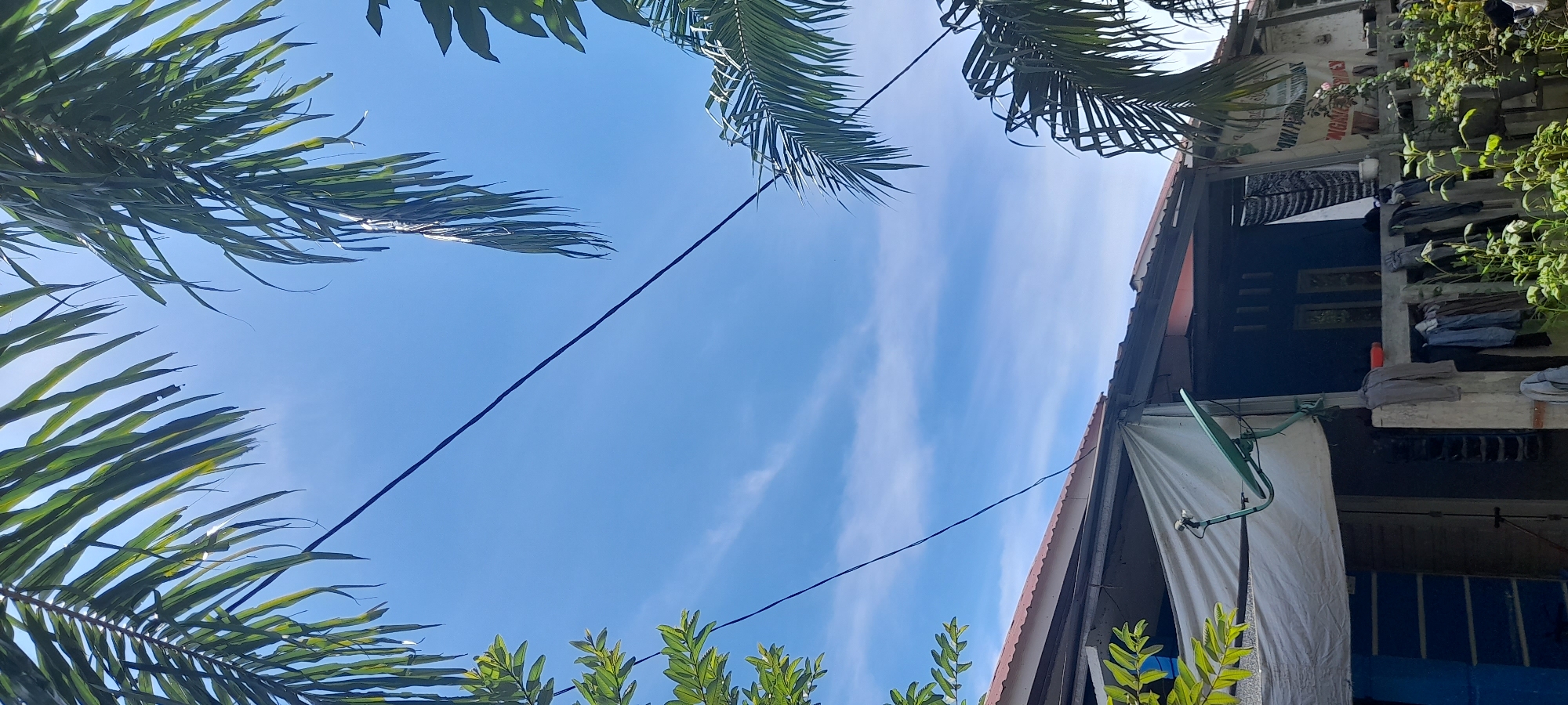 A low-angle shot displays a bright blue sky framed by tropical foliage and a section of a building. Palm leaves occupy the top and left of the image, while greenery is present at the bottom. A power line cuts across the sky diagonally.
The building, on the right, has a corrugated roof and a white tarp hanging down. A green satellite dish is mounted on the side of the structure. Laundry hangs on a balcony or porch above the tarp. The building appears weathered, hinting at an older construction style.
The location is likely Buketteukuh, Indonesia based on the location details.