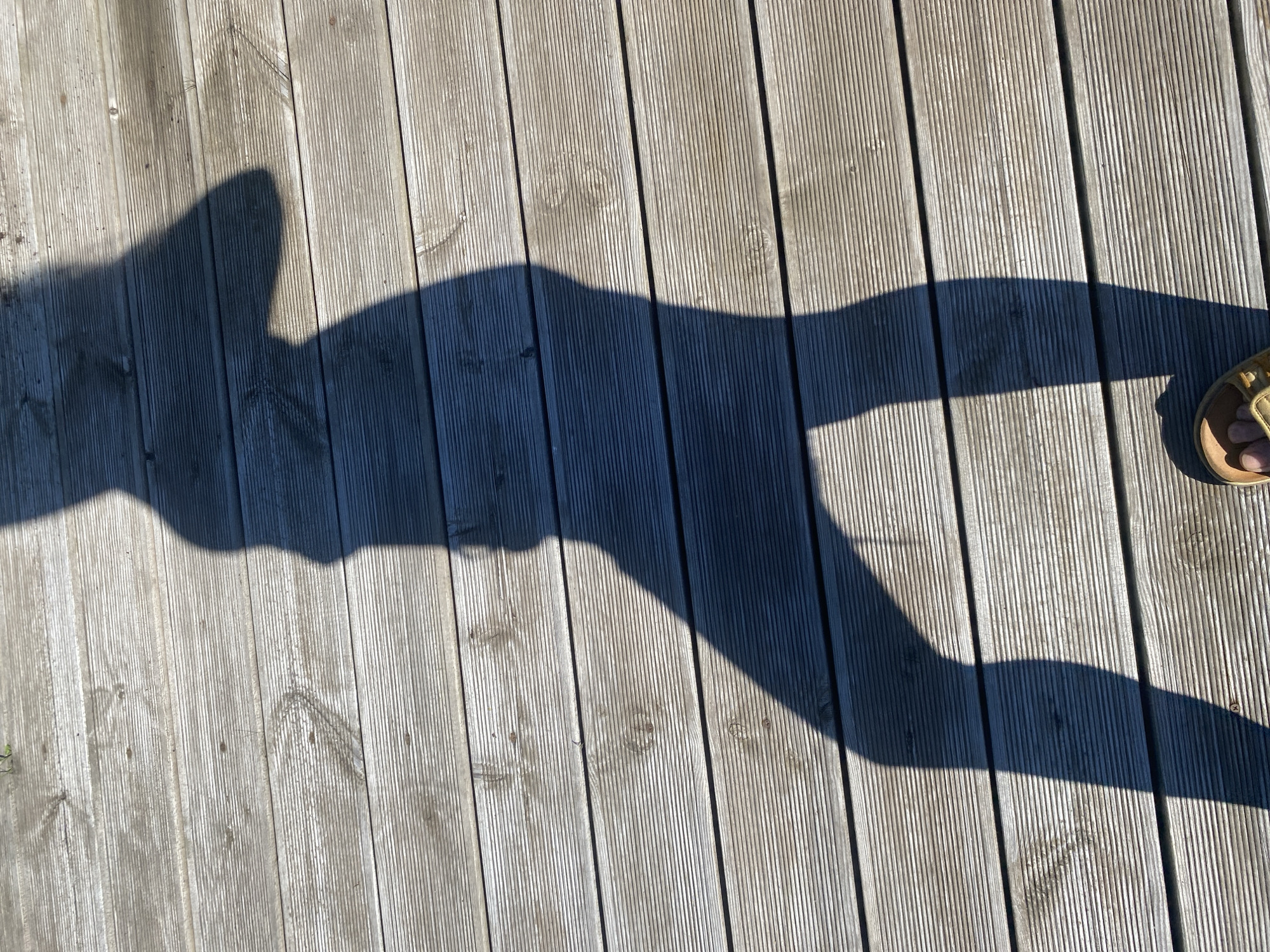 A shadow of a person wearing a wide-brimmed hat and sandals is cast across a wooden deck. The shadow is positioned in the center of the frame, with the person's legs extending towards the bottom of the image. The wooden planks of the deck are oriented horizontally and show signs of wear and weathering. The scene is outdoors, under bright sunlight, as indicated by the distinct shadow. The location is stated to be in the city of Bol'shoe Zaborod'e, Russia.