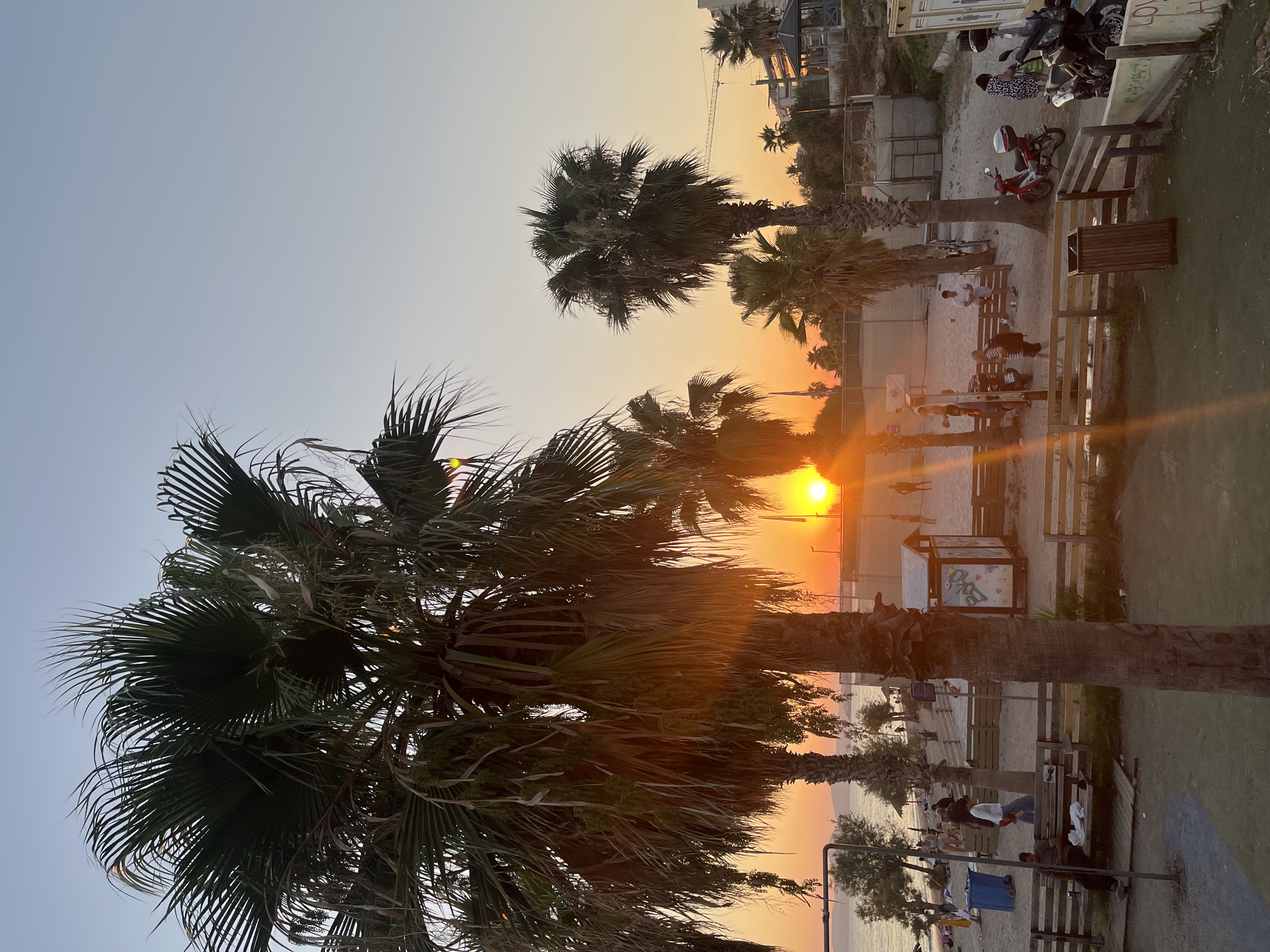 The image captures a sunset scene at a beachside area in Paleo Faliro, Greece. Several palm trees dominate the foreground and midground, with their fronds silhouetted against the warm hues of the setting sun. The sky transitions from a pale blue at the top to shades of orange and yellow near the horizon.
In the midground, a sandy area appears to be a sports court, possibly for volleyball or basketball, with people scattered around. Some individuals are engaged in activities, while others are standing or walking. Wooden benches and fences delineate various areas of the beach. A small, open-sided structure with graphics is visible on the sand.
Further back, the coastline is visible with the sea meeting the shore. More trees and buildings are scattered along the background, including what looks like a construction crane. A few motorcycles are parked in the right side of the image. People are casually dressed, suggesting a relaxed atmosphere. The lighting indicates it is late afternoon or early evening, with the sun low on the horizon. The overall impression is one of a lively beach during a beautiful sunset.