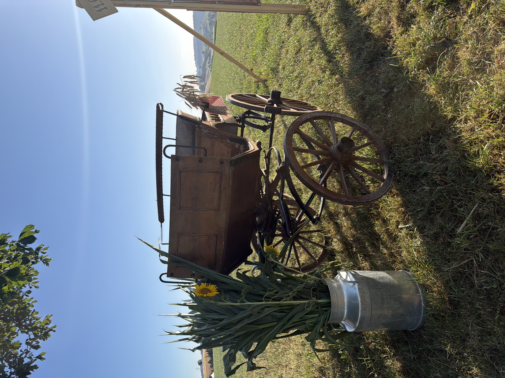 A wooden horse-drawn carriage is parked on a grassy field under a clear blue sky. The carriage has large spoked wooden wheels and a wooden body with metal accents. In front of the carriage, a tall, galvanized metal milk can holds a large bouquet of green stalks with a single yellow sunflower and a smaller sunflower. To the right of the carriage, a wooden post with a sign that reads "11.0" is visible. The background shows rolling green hills and fields. The scene appears to be set in the rural area of Ufhusen, Switzerland, possibly for a festive occasion or display.