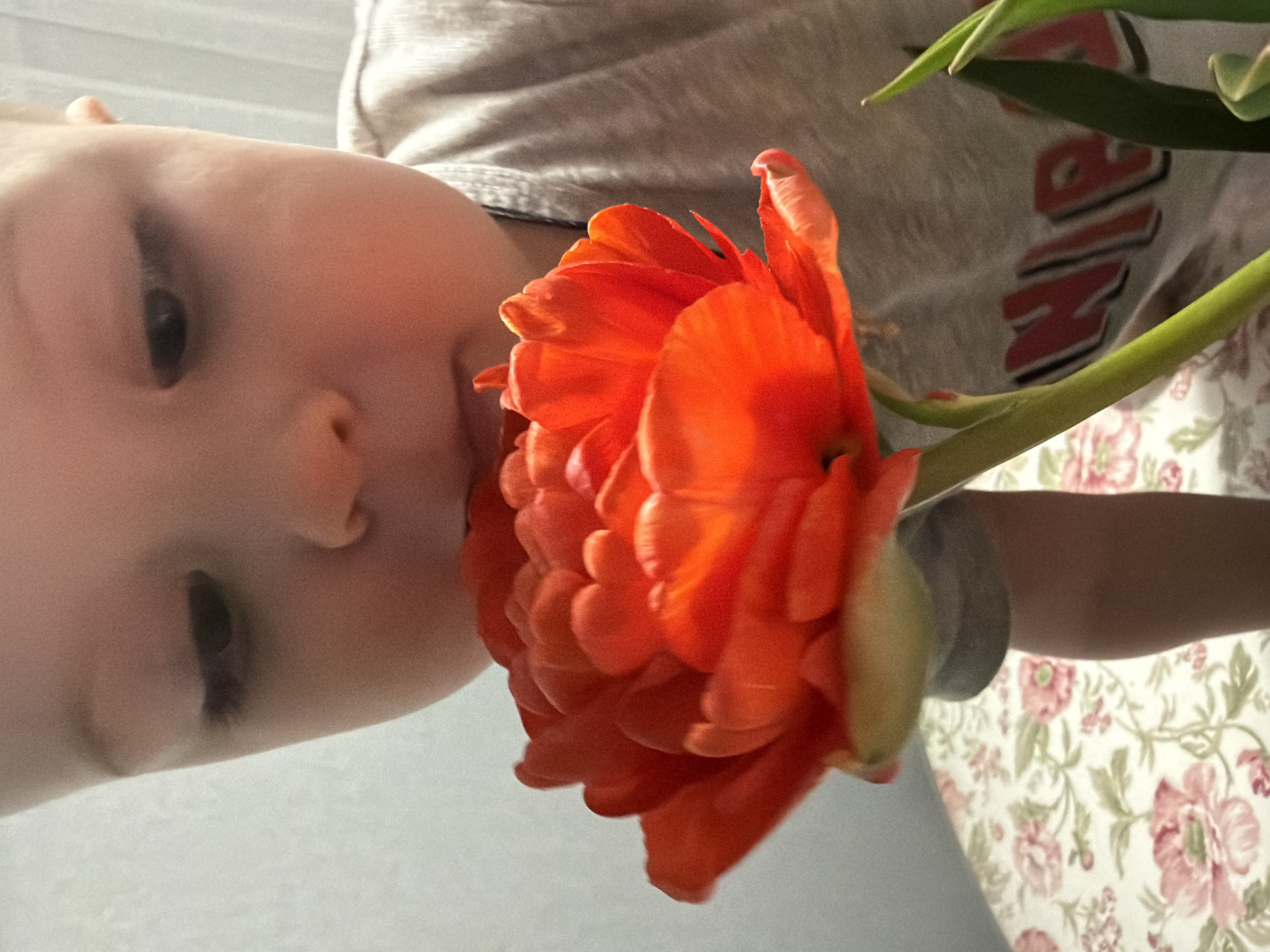 A close-up shot focuses on a baby, positioned on the left side of the frame, with an orange flower occupying the center. The baby appears to be interacting with or smelling the flower. The person is wearing a grey shirt. In the background, there is a floral-patterned material, with hints of the word "MIX" printed on it. The environment includes a white wall. There is no discernible information to connect this image to Votkinsk, Russia.