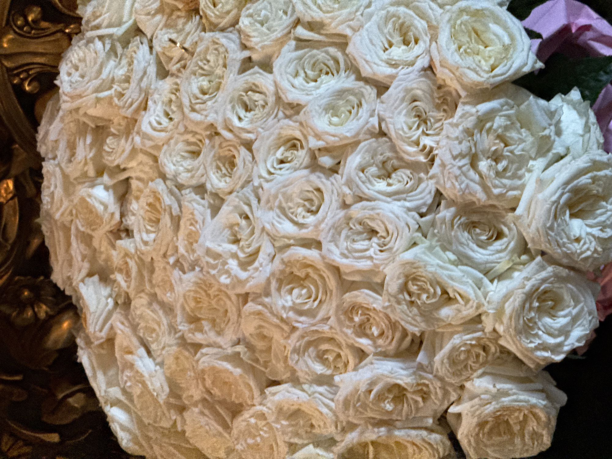 An extreme close-up aerial shot shows a dense arrangement of white roses. The roses are tightly packed, with their petals unfurled in a spiral pattern, creating a textured surface. Some roses are fully bloomed, while others are in various stages of opening. The color palette is dominated by whites and pale yellows, with subtle variations in shading due to light and shadow. The background is dark and out of focus, with a hint of a gilded, ornate object at the top, suggesting an indoor setting, possibly a luxurious interior or a grand display.